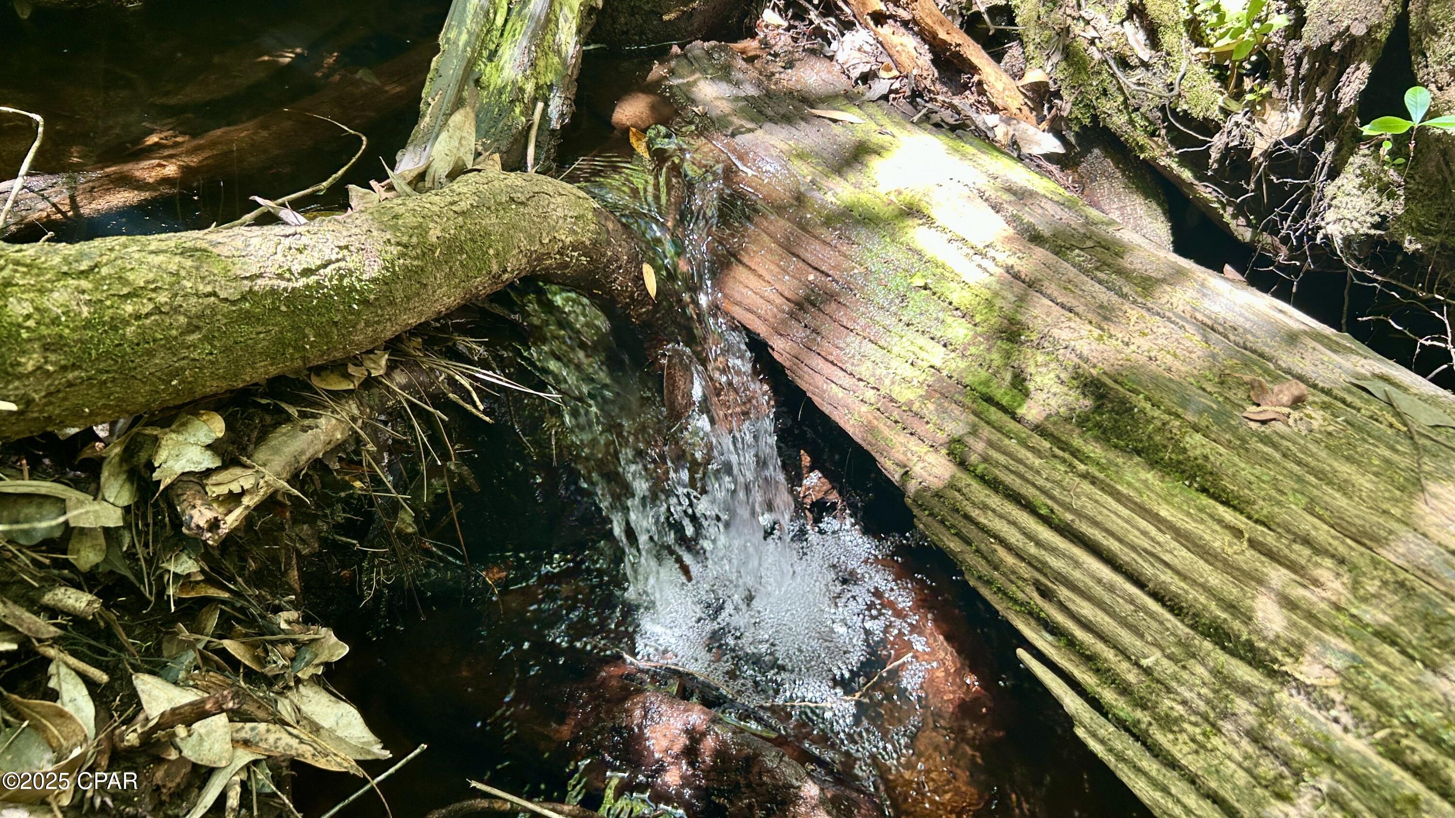 Image 1 For 4264 Cleveland Road