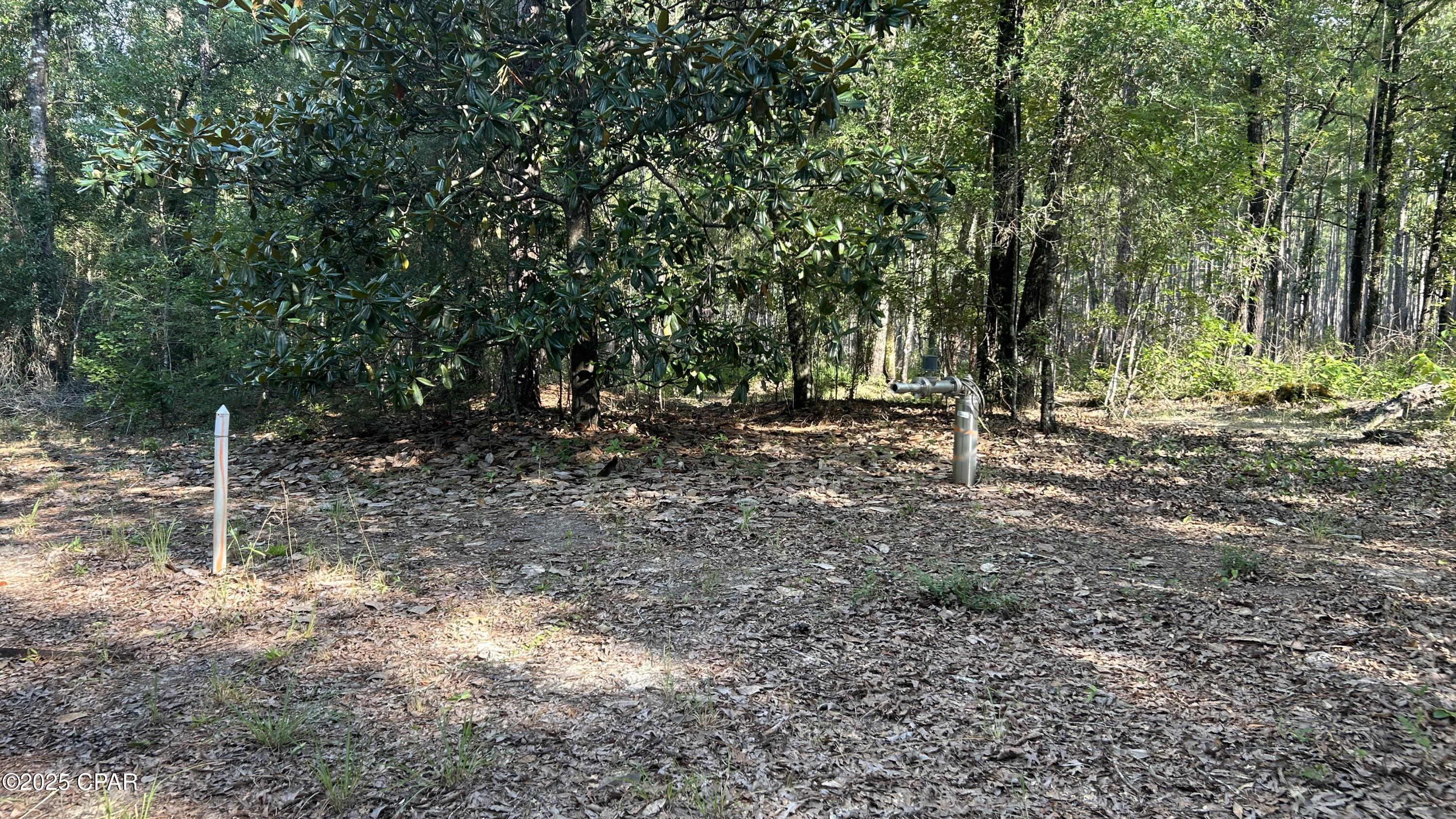 Image 14 For 4264 Cleveland Road