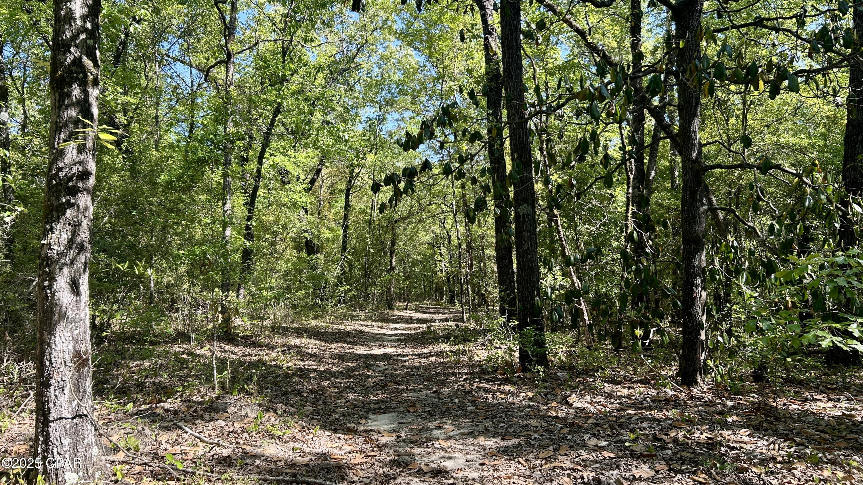 Listing photo id 15 for 4264 Cleveland Road