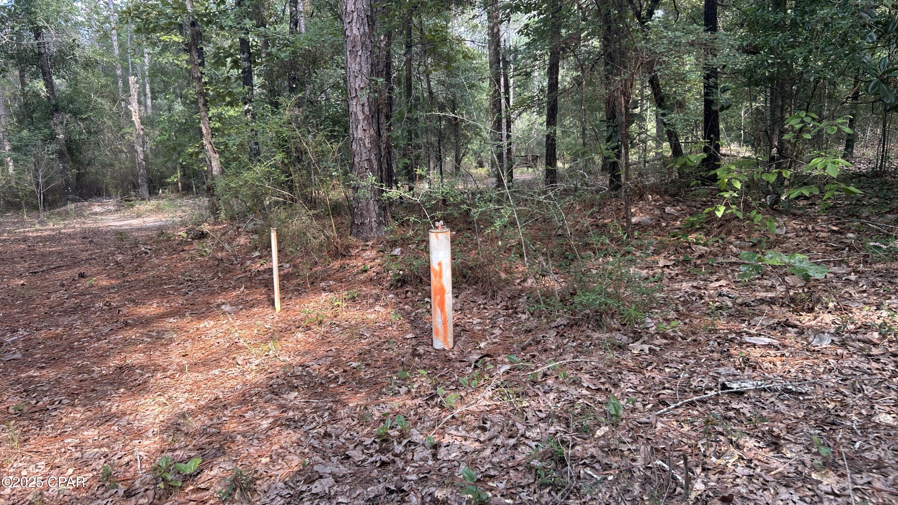 Image 18 For 4264 Cleveland Road