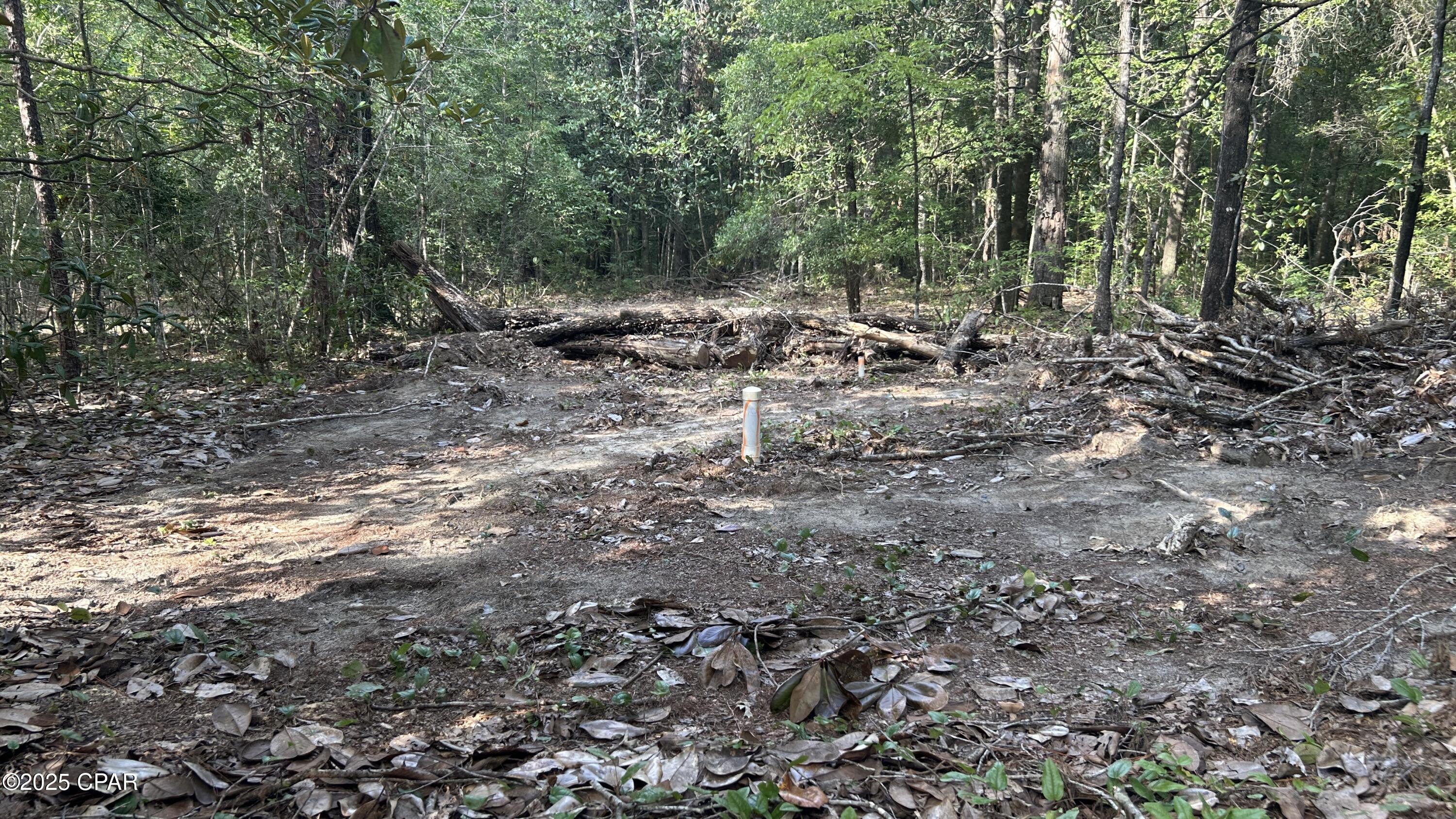 Image 19 For 4264 Cleveland Road