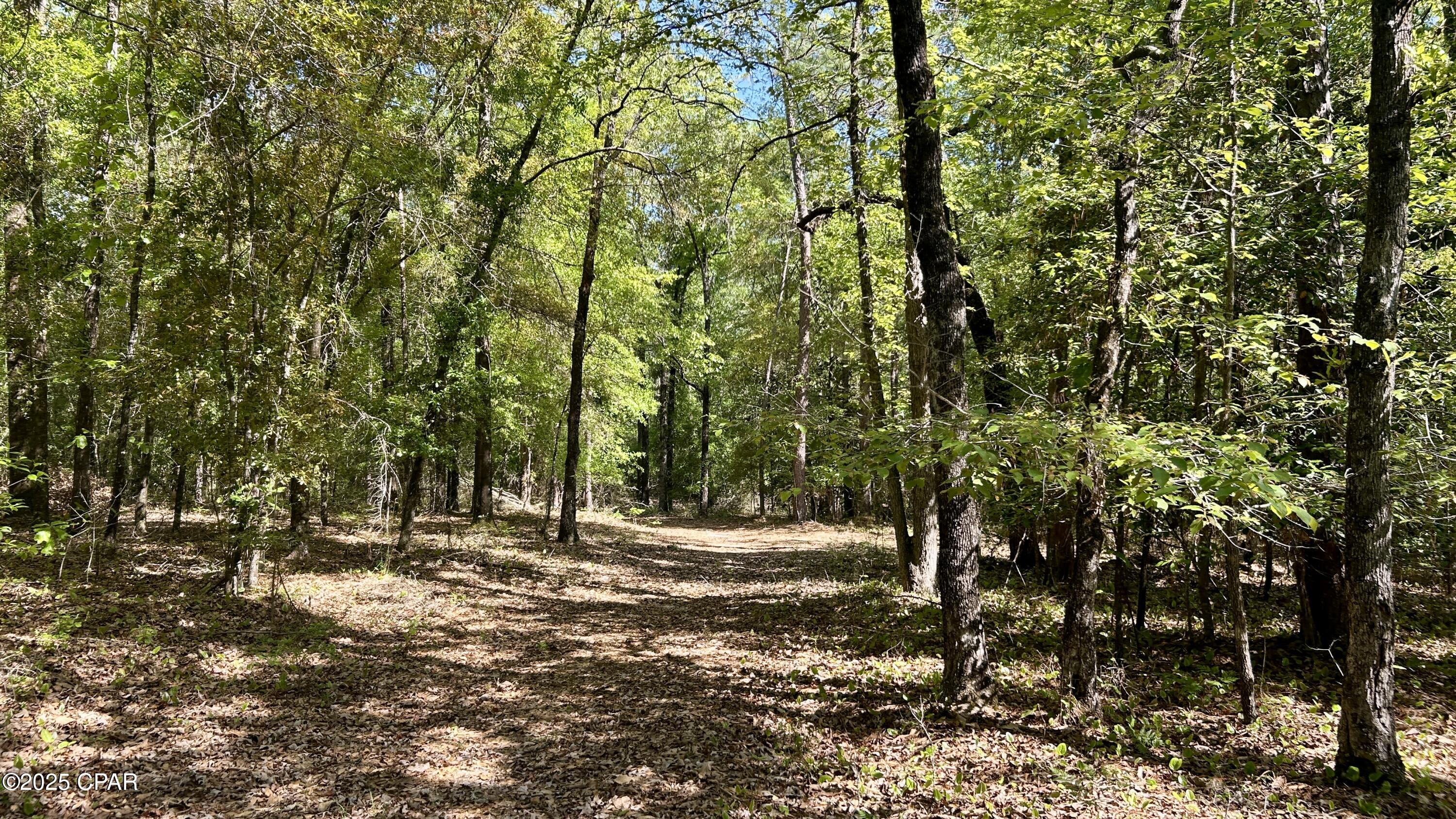 Listing photo id 20 for 4264 Cleveland Road