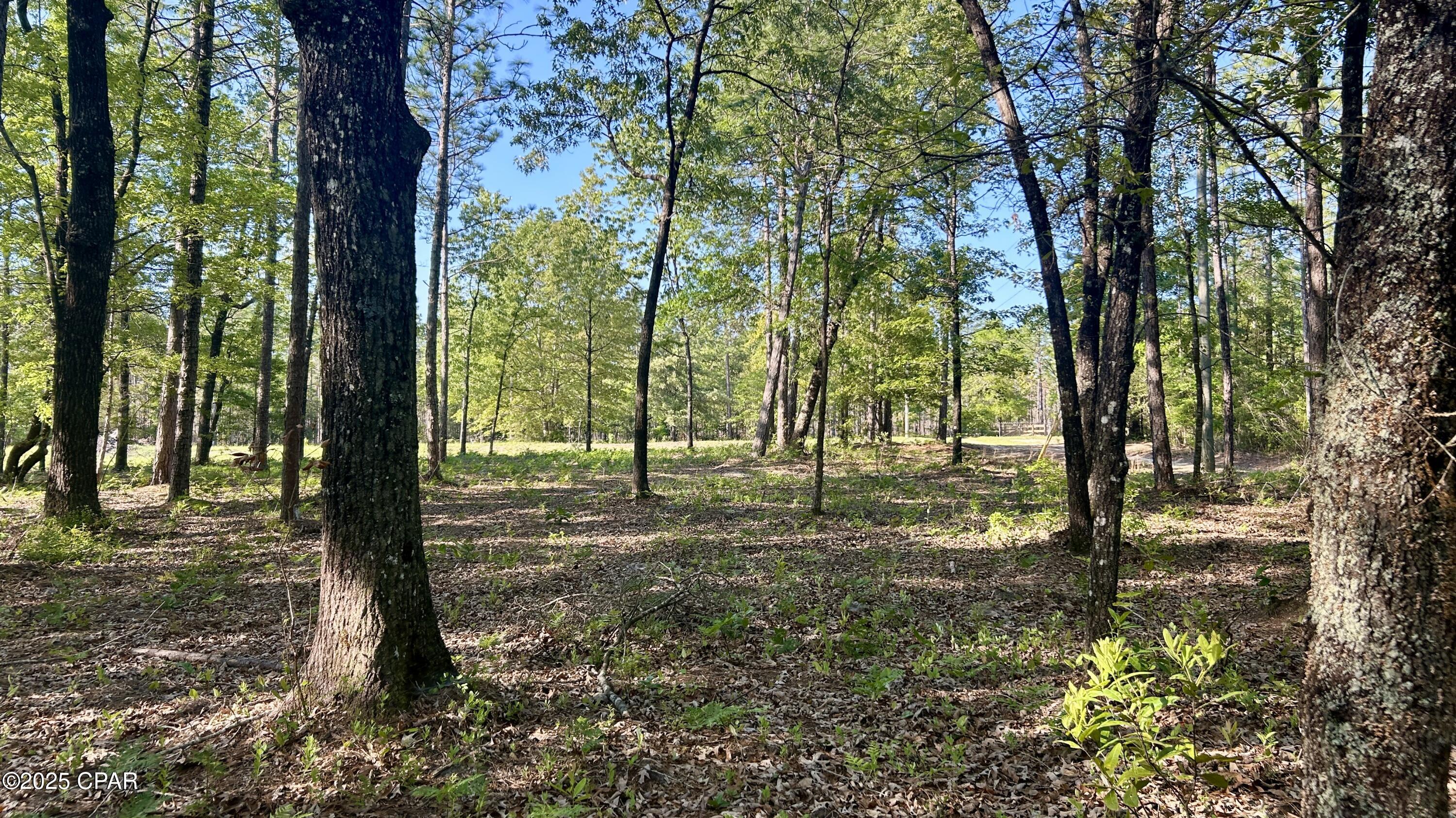 Listing photo id 21 for 4264 Cleveland Road