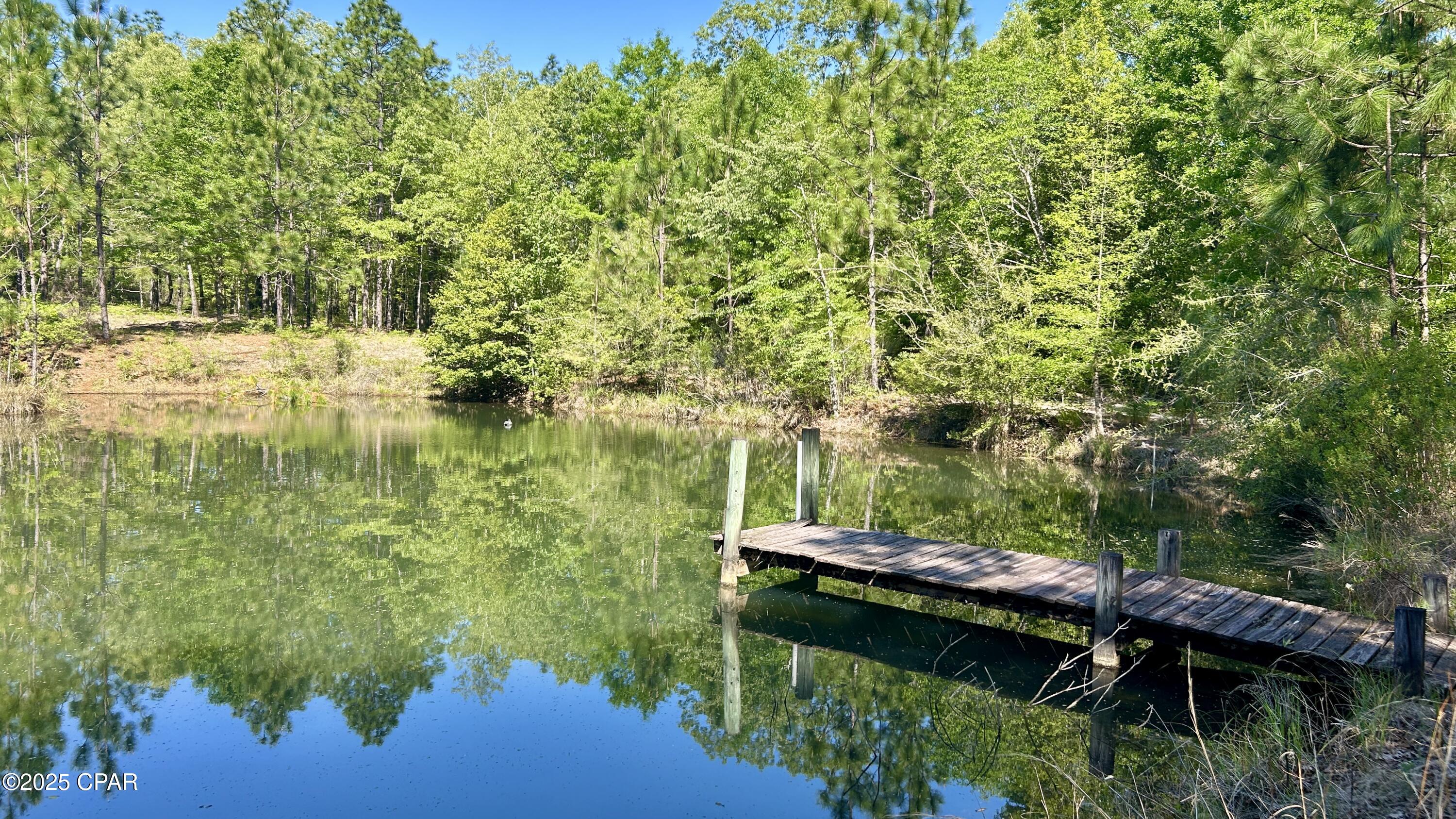 Listing photo id 26 for 4264 Cleveland Road