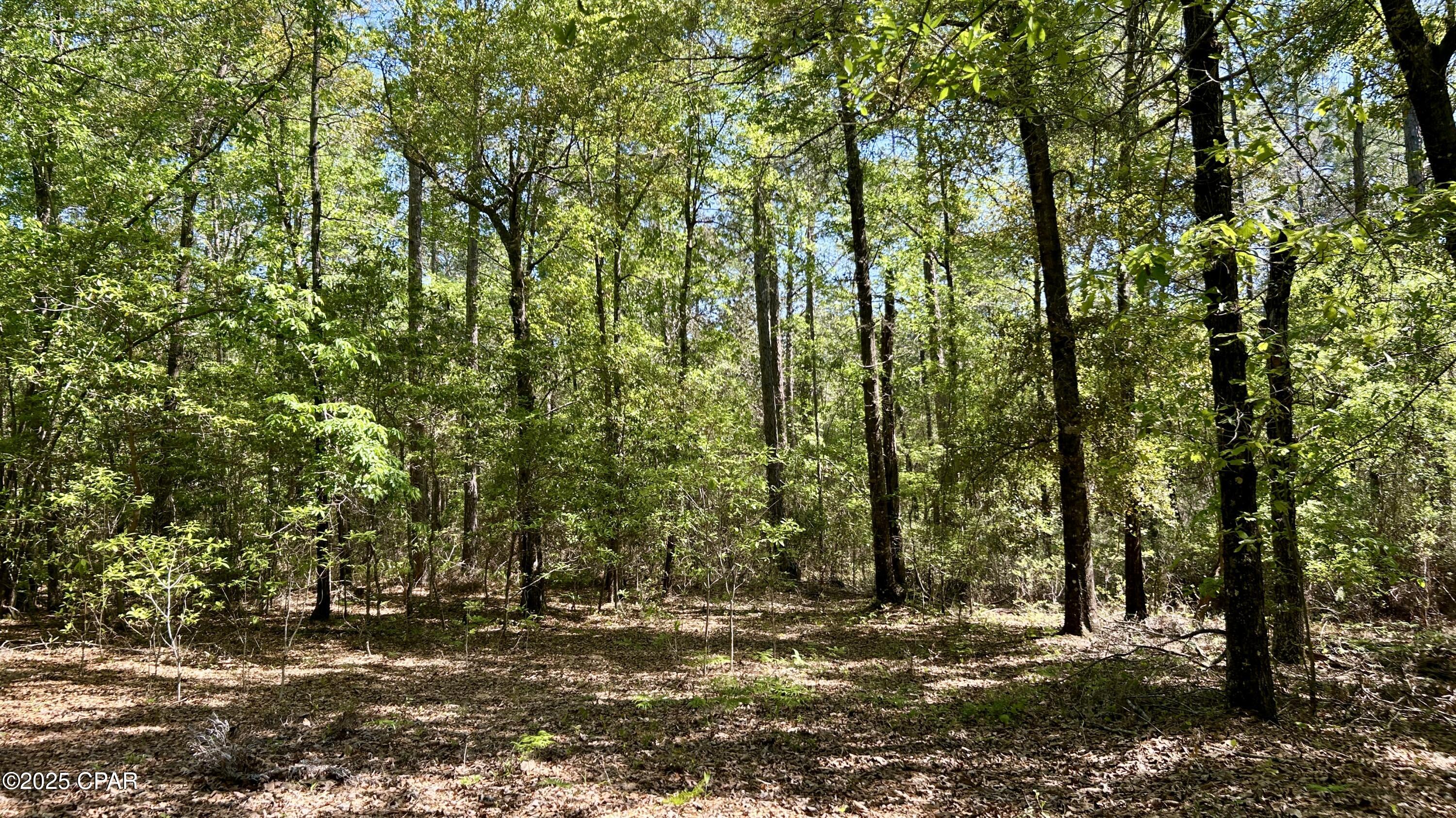 Listing photo id 27 for 4264 Cleveland Road