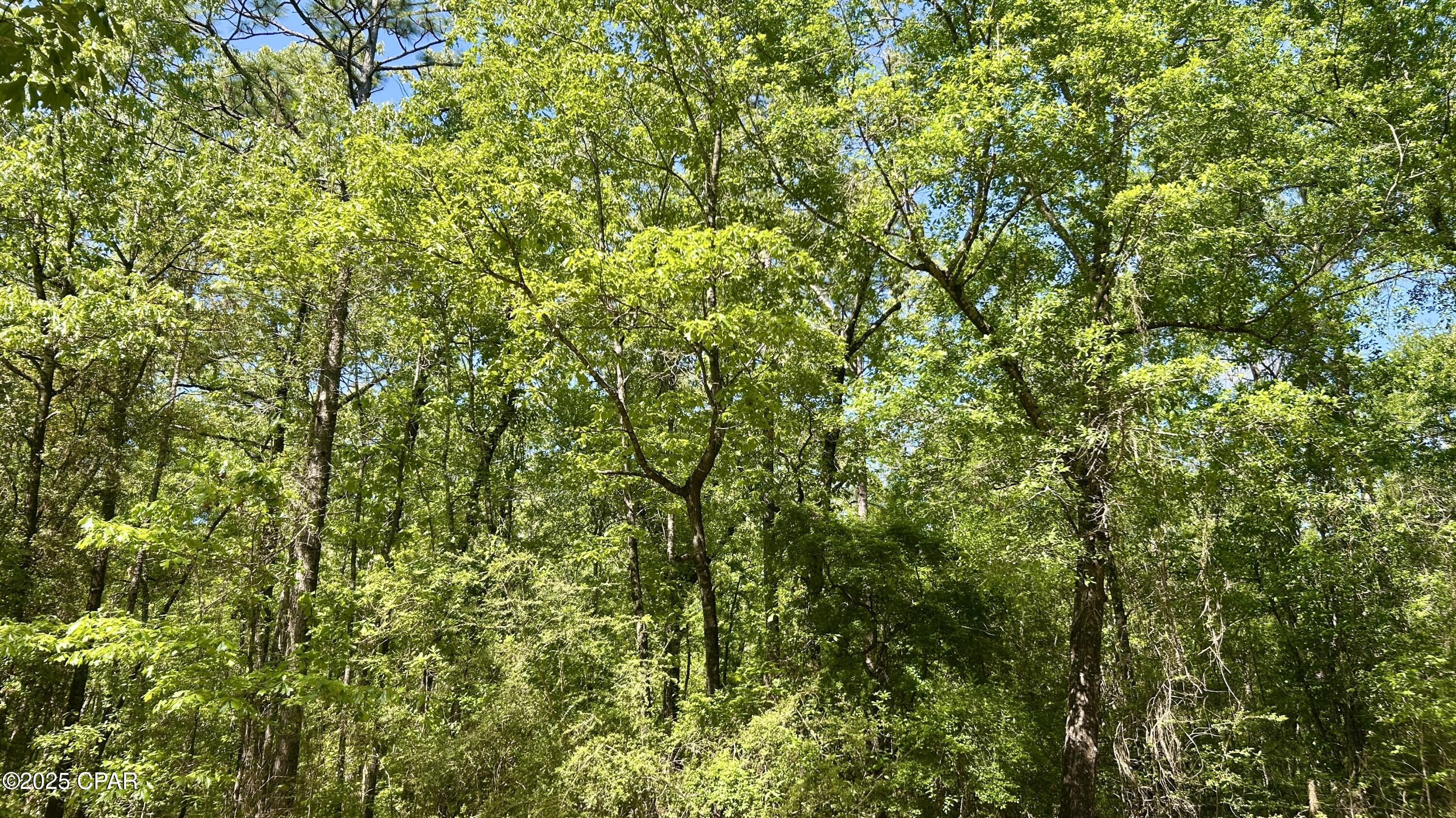 Image 28 For 4264 Cleveland Road