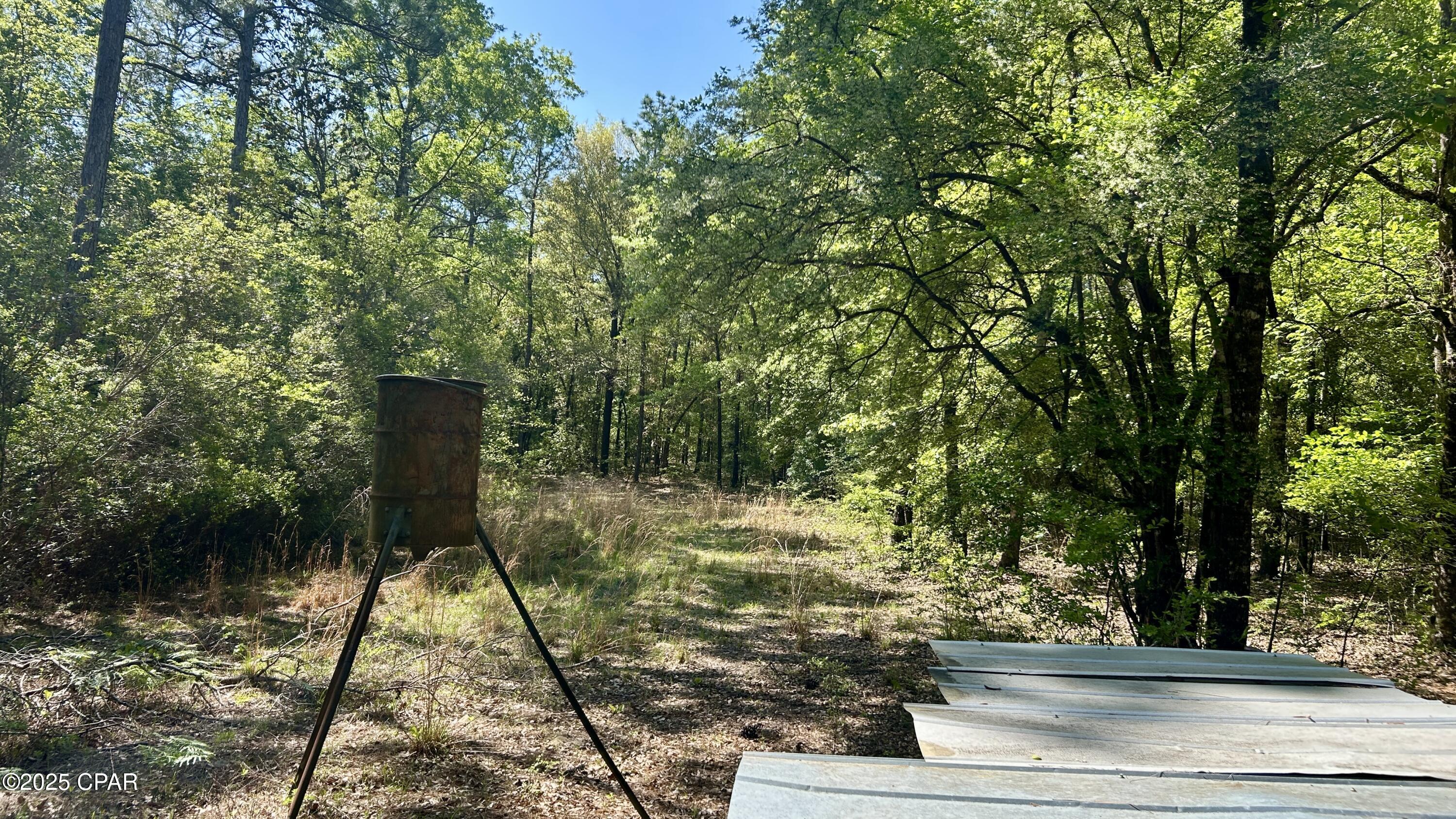 Listing photo id 29 for 4264 Cleveland Road