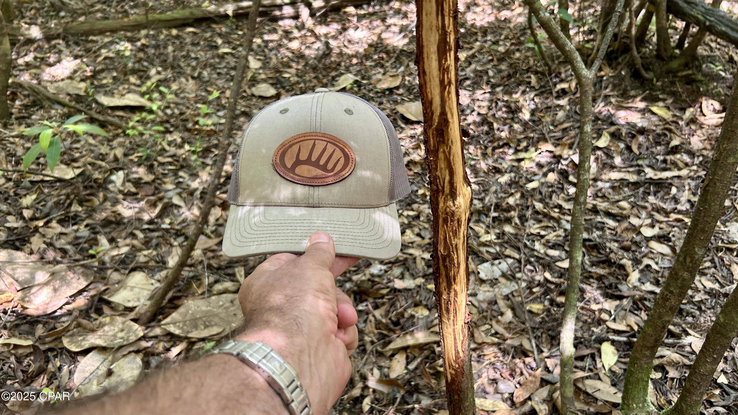 Listing photo id 30 for 4264 Cleveland Road