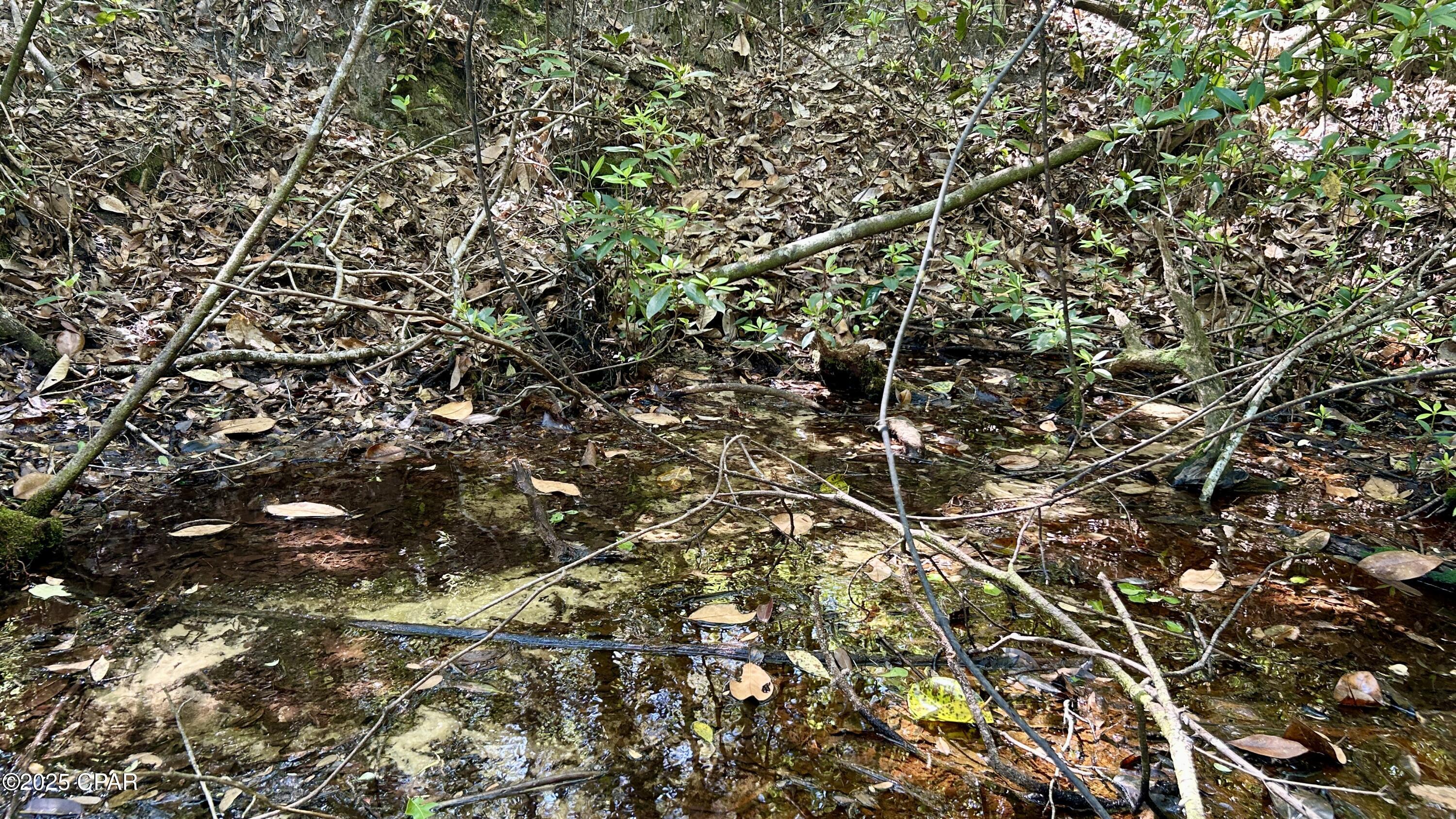 Image 31 For 4264 Cleveland Road