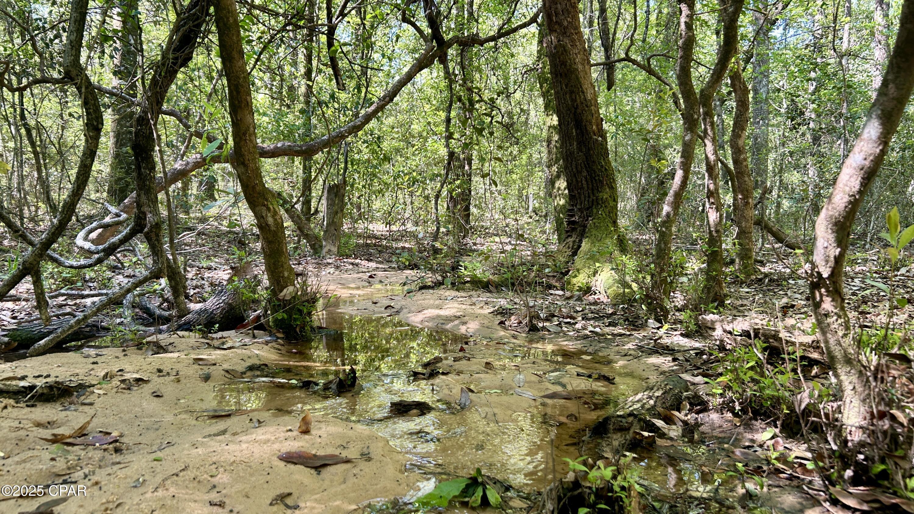 Image 32 For 4264 Cleveland Road