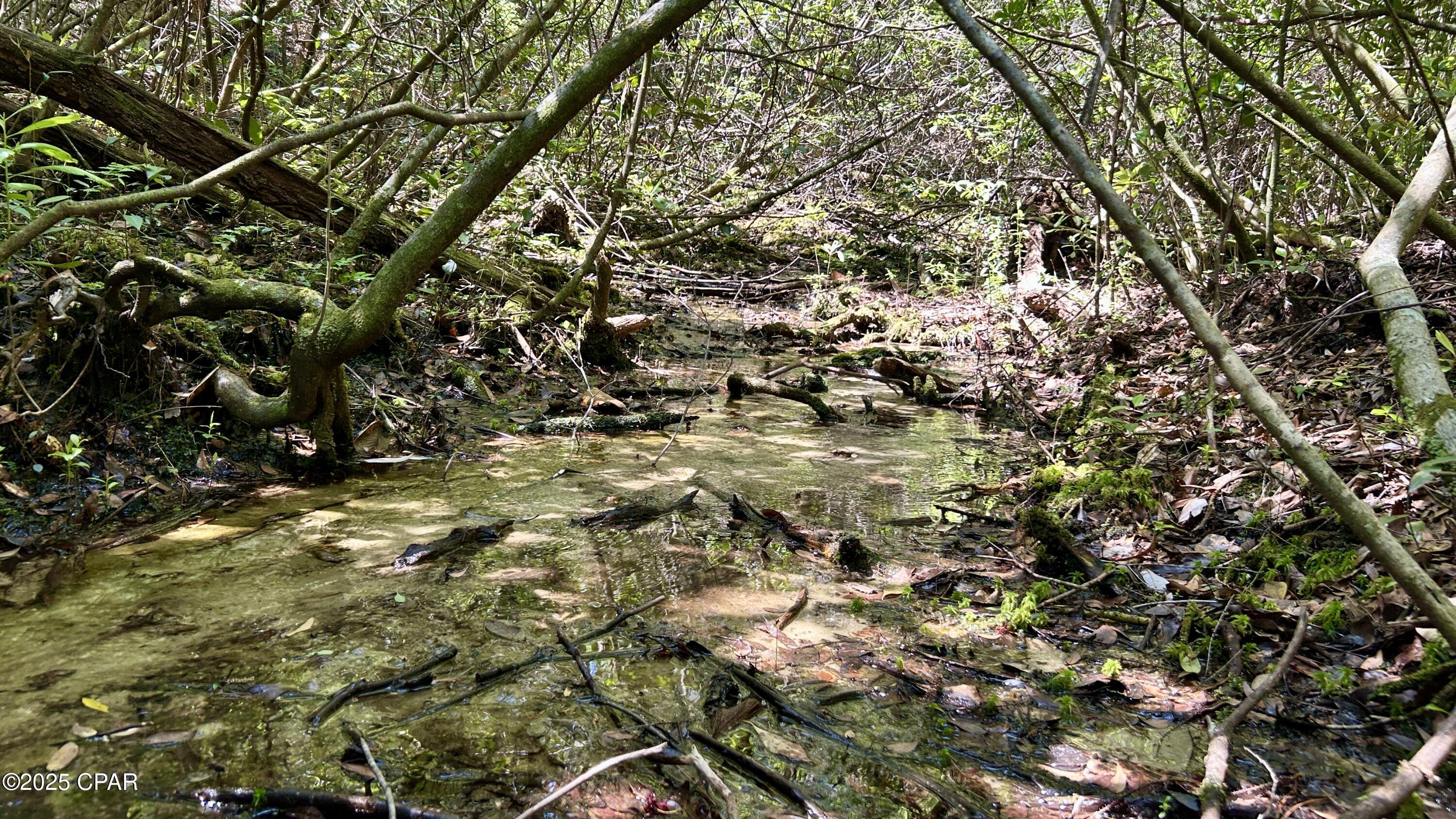 Image 33 For 4264 Cleveland Road