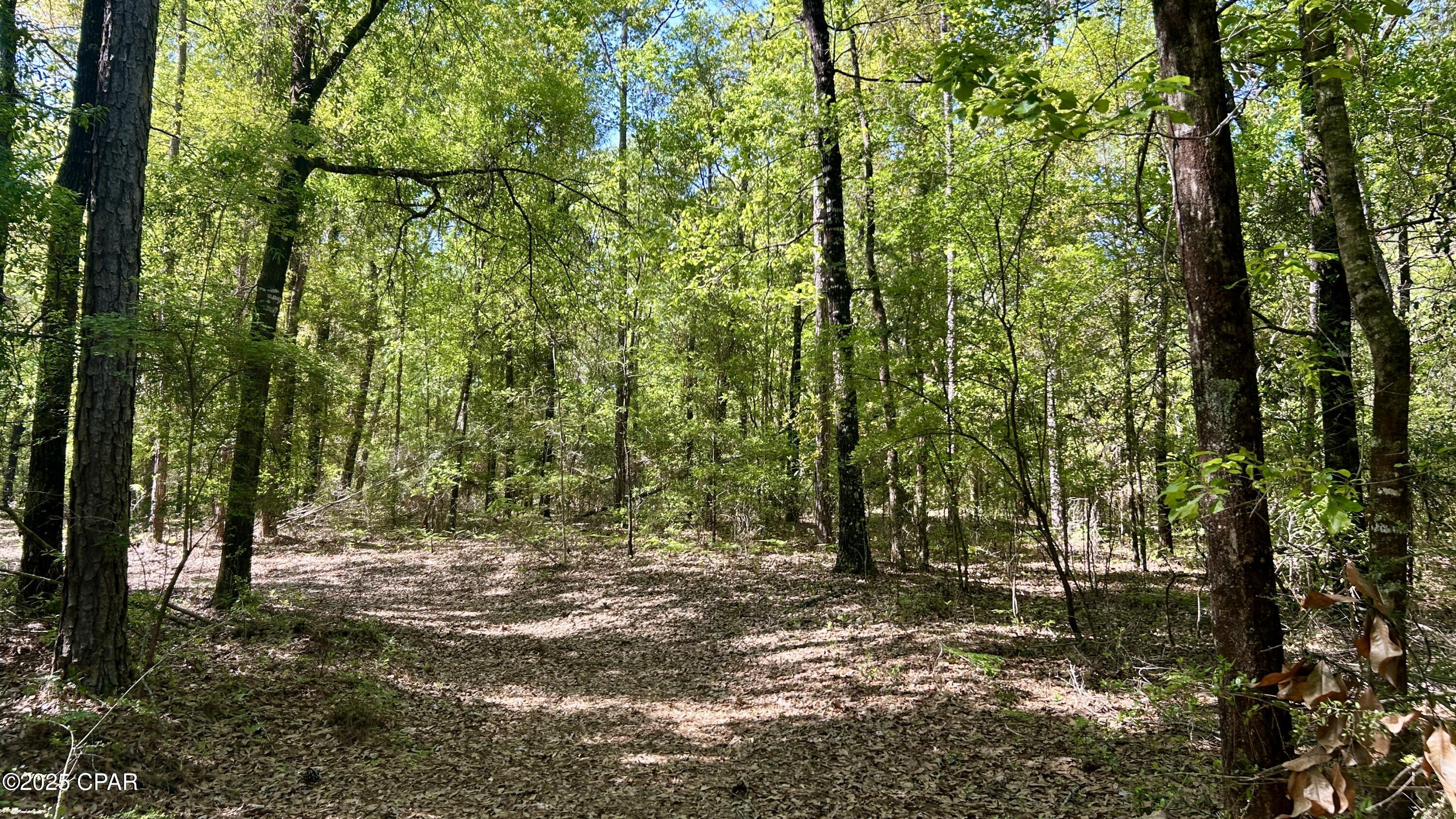 Listing photo id 34 for 4264 Cleveland Road