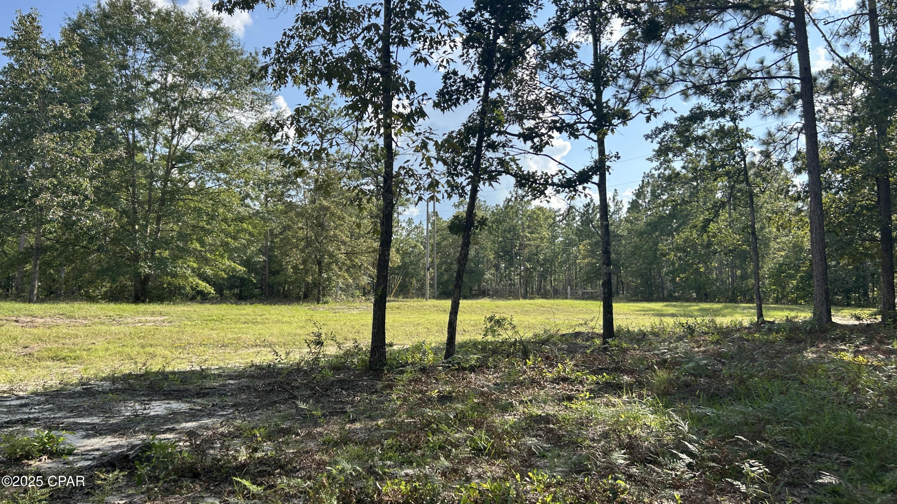 Listing photo id 35 for 4264 Cleveland Road