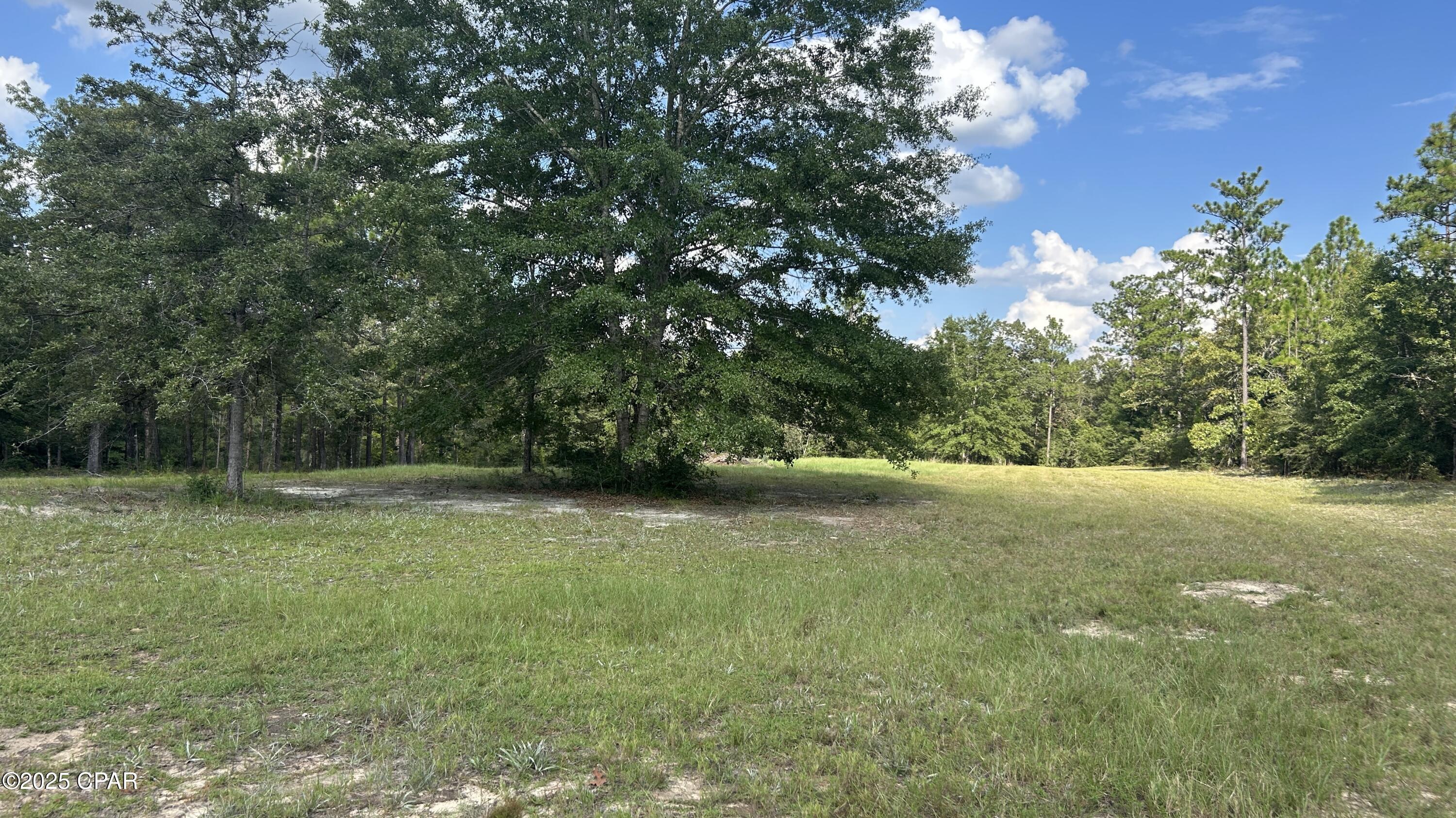 Image 7 For 4264 Cleveland Road