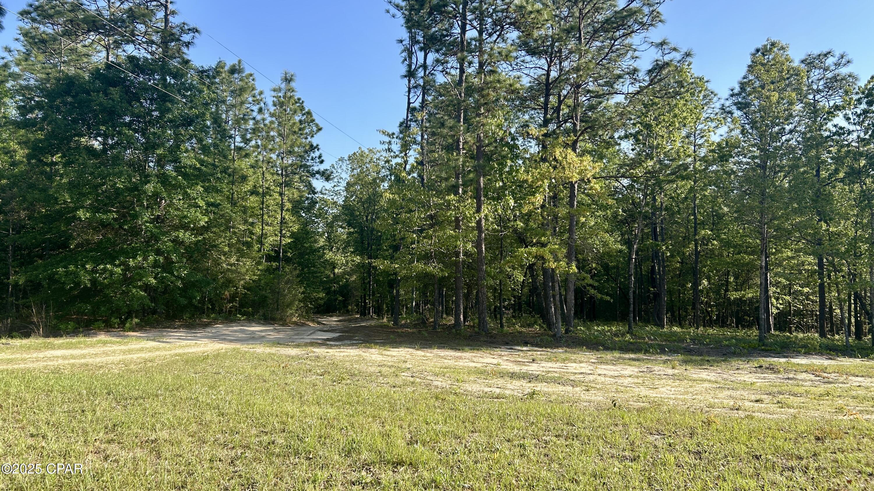 Listing photo id 8 for 4264 Cleveland Road