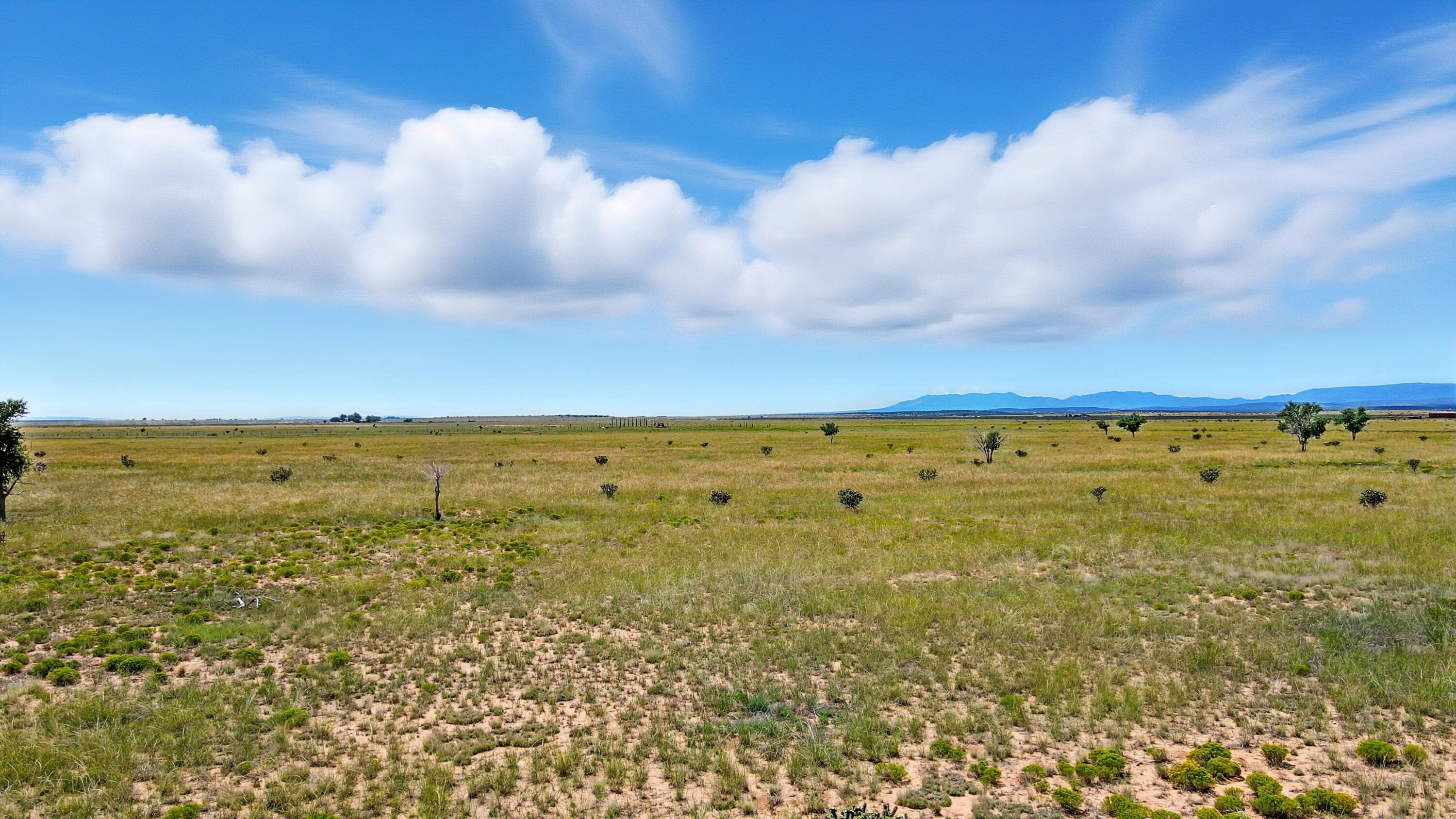 Homes for sale in Estancia, NM | West Side Of Firefly Ln, Estancia, NM 87016 | MLS# 1091189