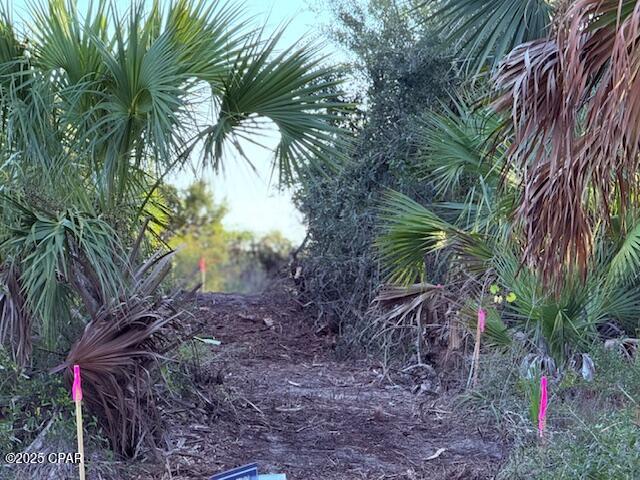 Image 4 For 0 County Rd 30a