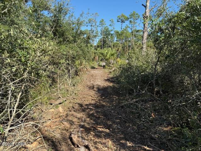 Image 7 For 0 County Rd 30a