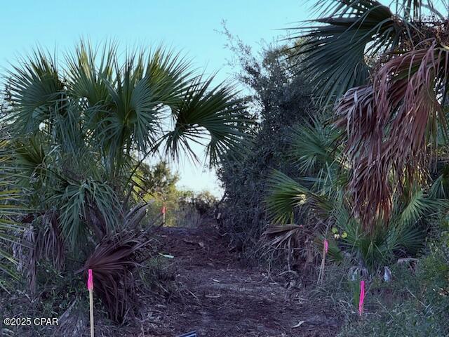 Image 8 For 0 County Rd 30a