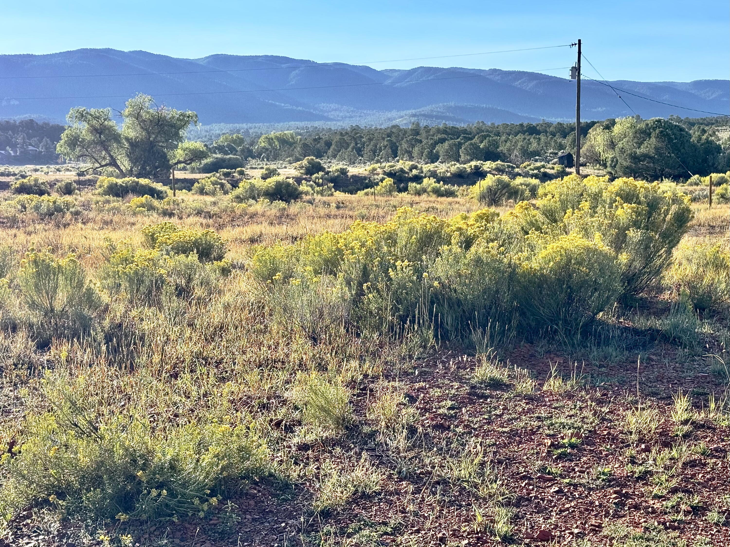 Homes for sale in Regina, NM | Tbd State Hwy 96, Regina, NM 87046 | MLS# 1091247