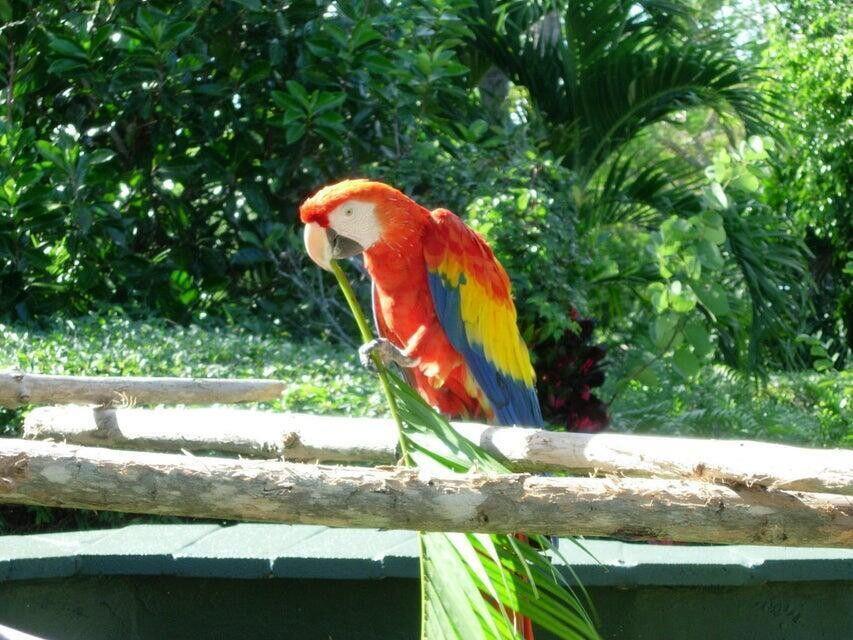 Homes for sale in Singer Island, FL | 5380 N Ocean Dr #5 B, Singer Island, FL 33404 | MLS# R11123242