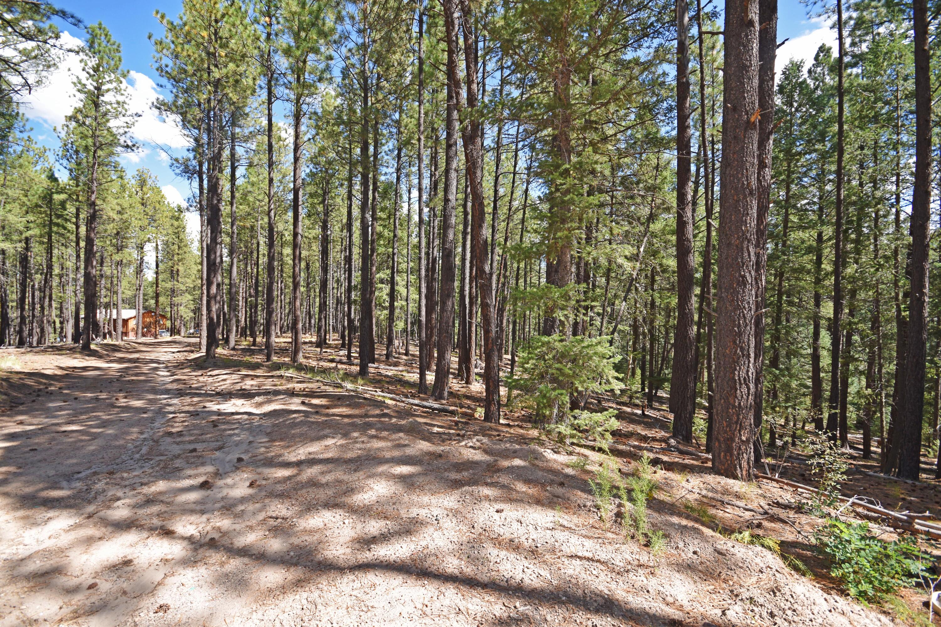 Homes for sale in Jemez Springs, NM | 0 Thomsens Point, Jemez Springs, NM 87025 | MLS# 1091274