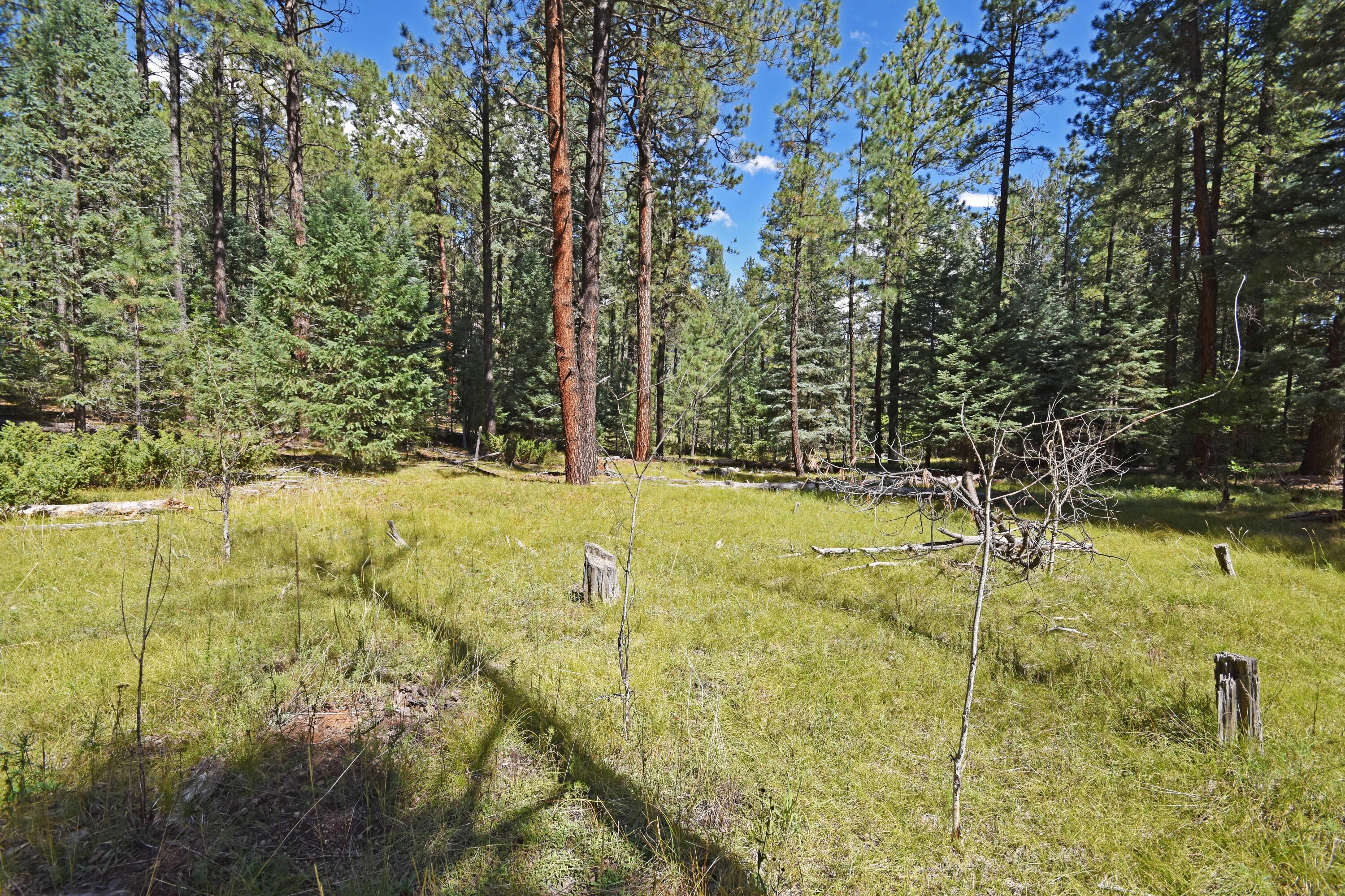 Homes for sale in Jemez Springs, NM | 0 Thomsens Point, Jemez Springs, NM 87025 | MLS# 1091274