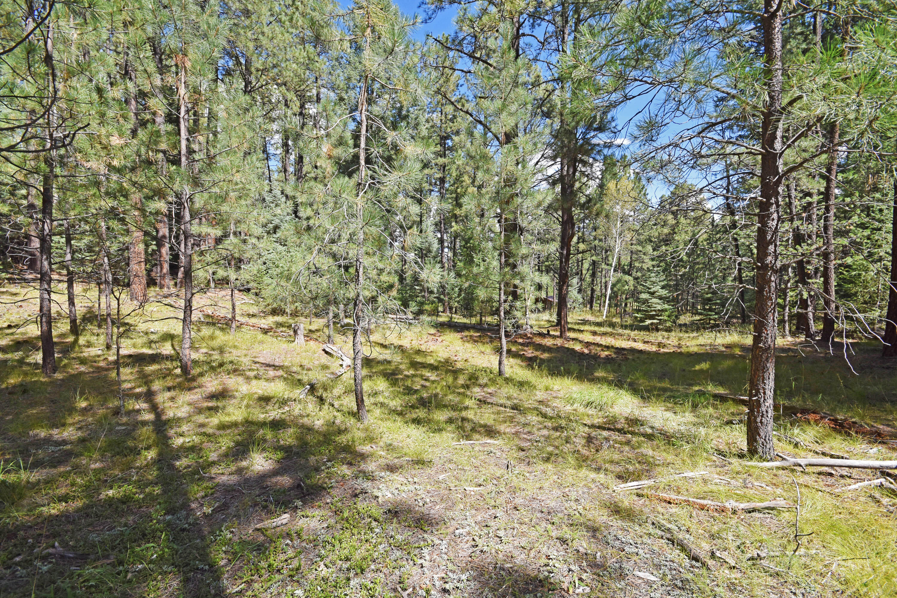 Homes for sale in Jemez Springs, NM | 0 Thomsens Point, Jemez Springs, NM 87025 | MLS# 1091274