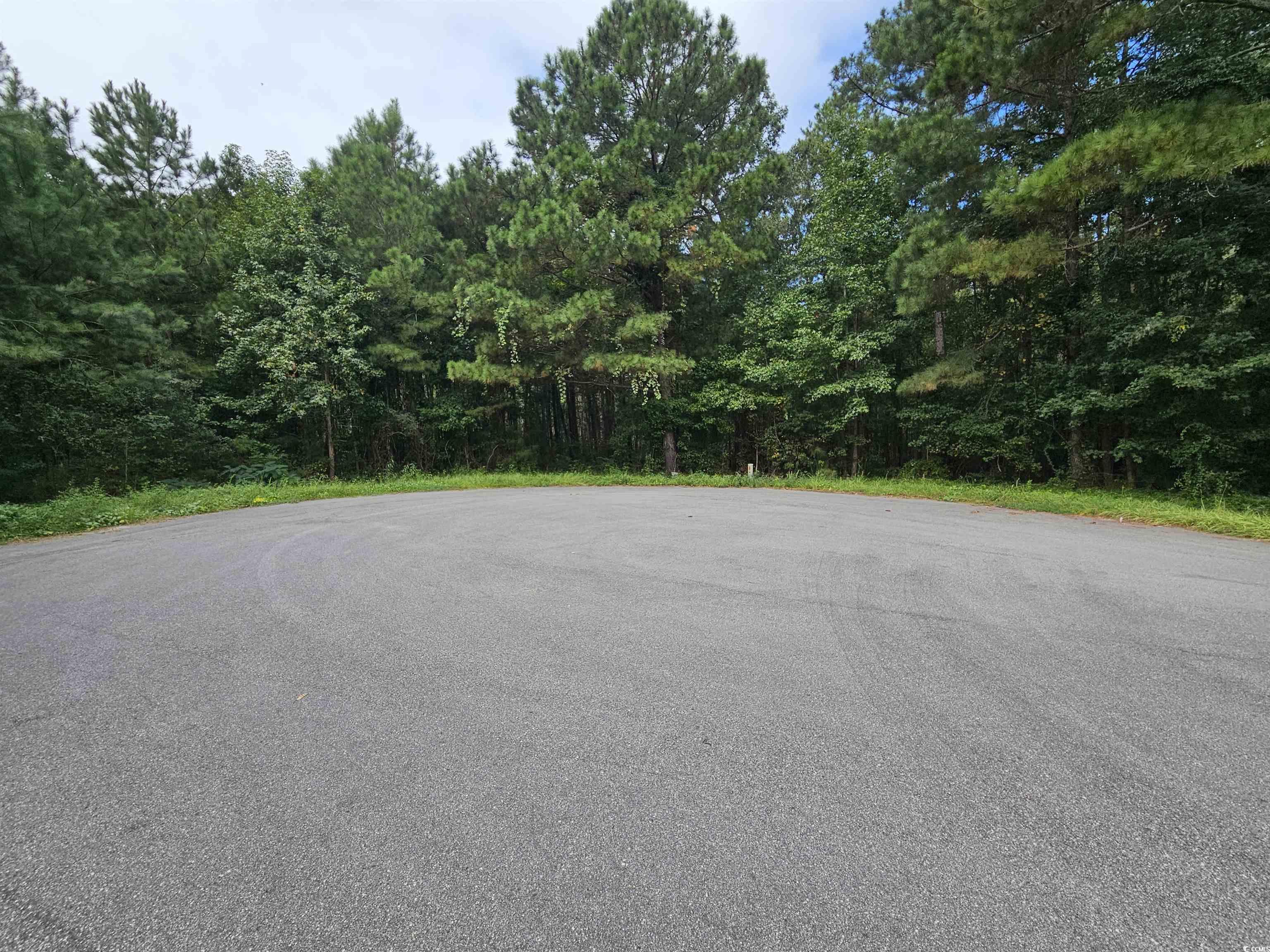 8344 Bucksport Heights Circle Conway, SC 29527