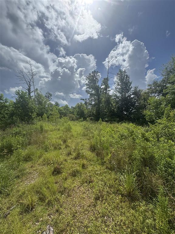 3740 & 3822 Dunn Ferry Road