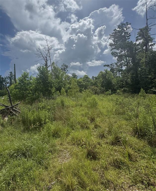 3740 & 3822 Dunn Ferry Road — photo 2