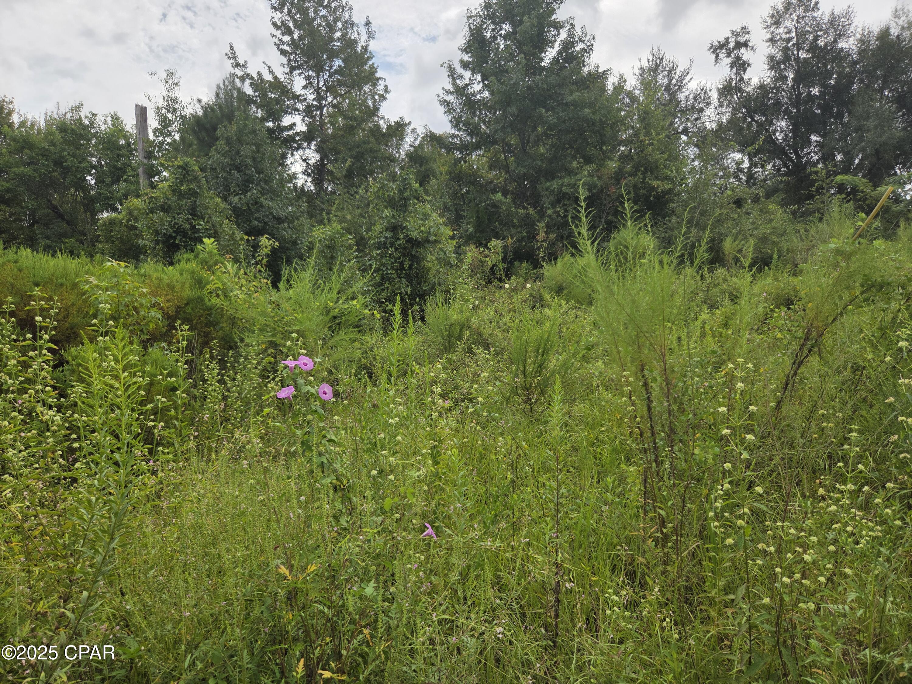 Image 3 For 7215 Diane Lane