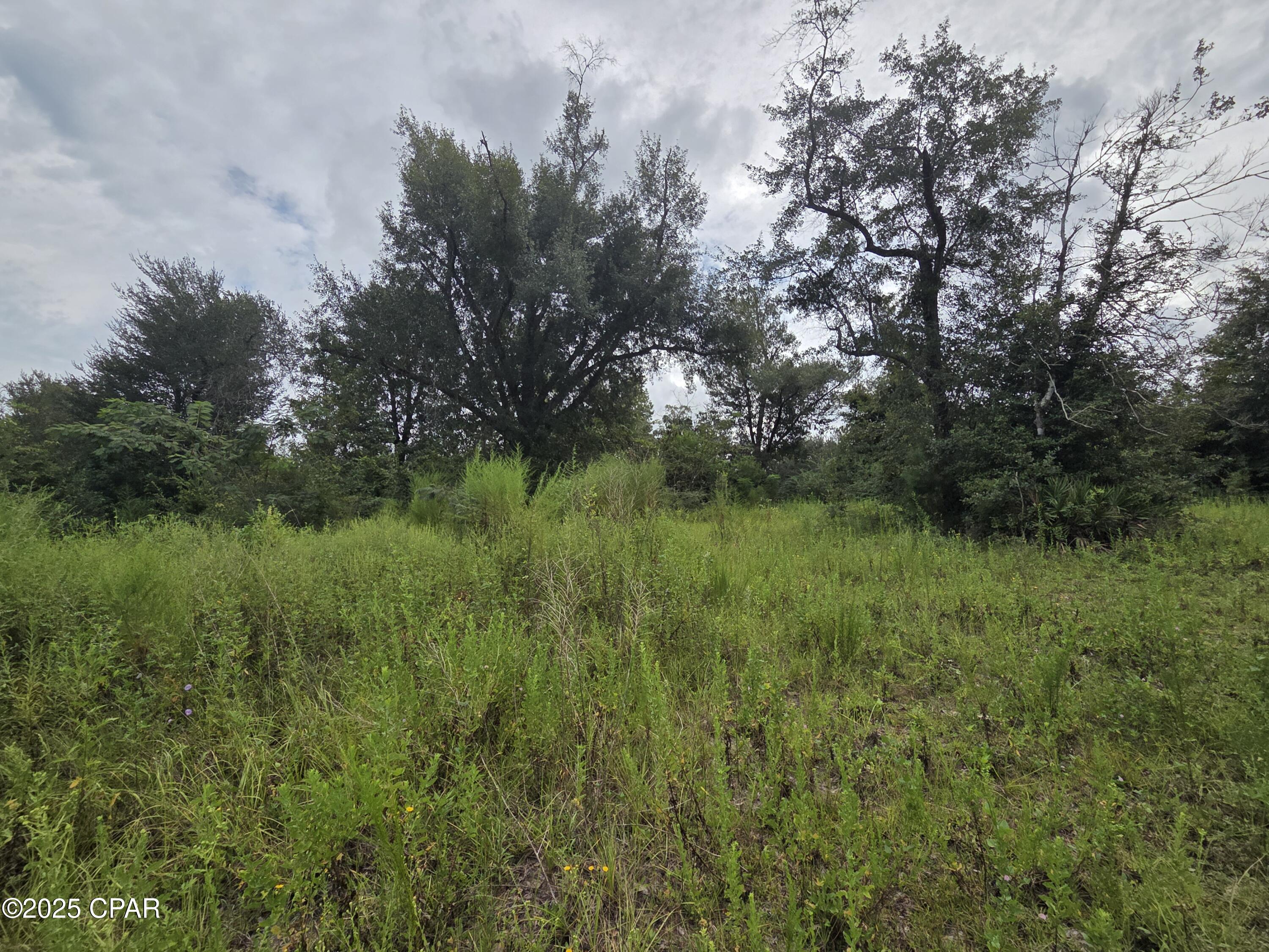 Image 5 For 7215 Diane Lane