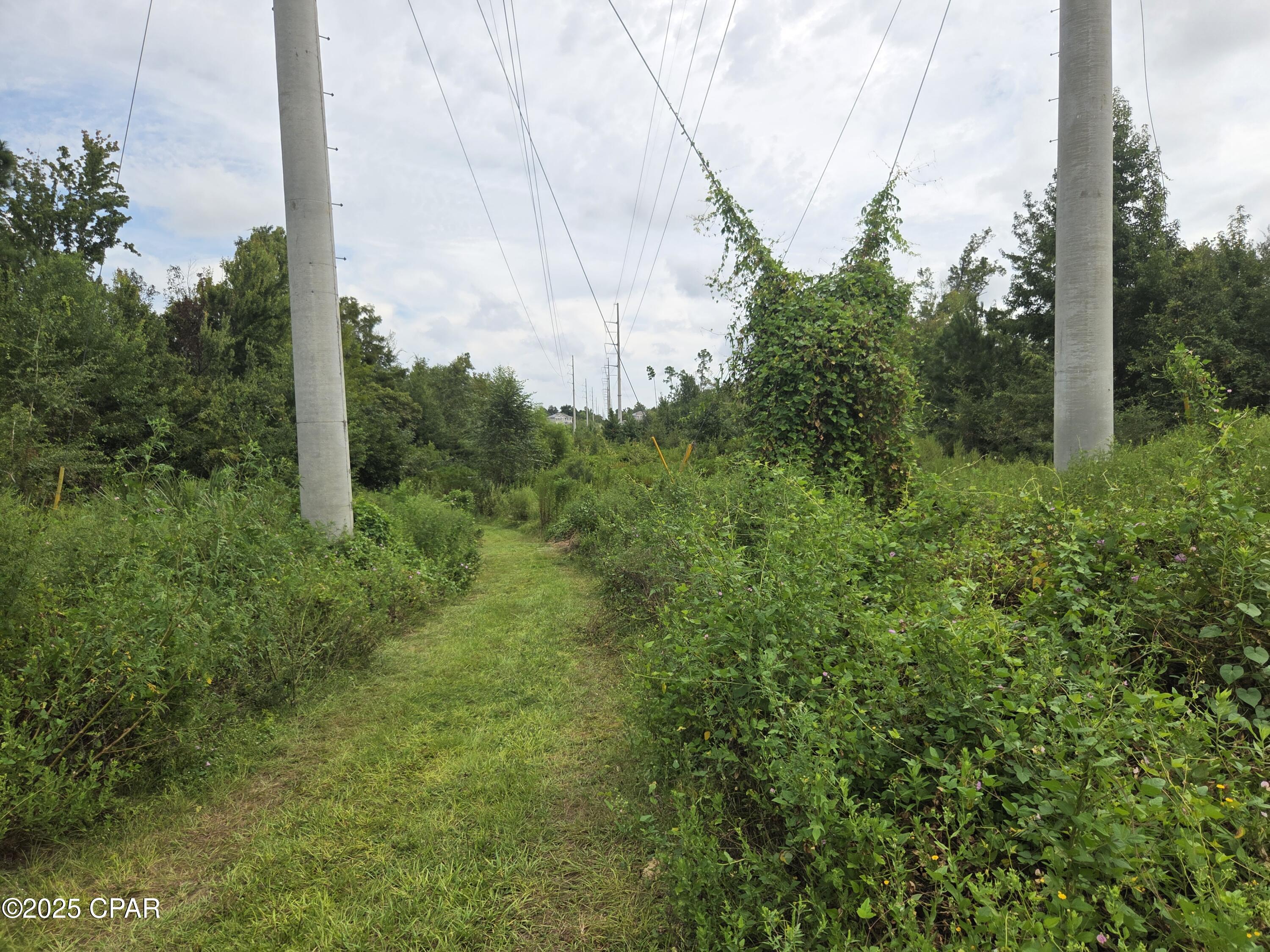 Image 6 For 7215 Diane Lane