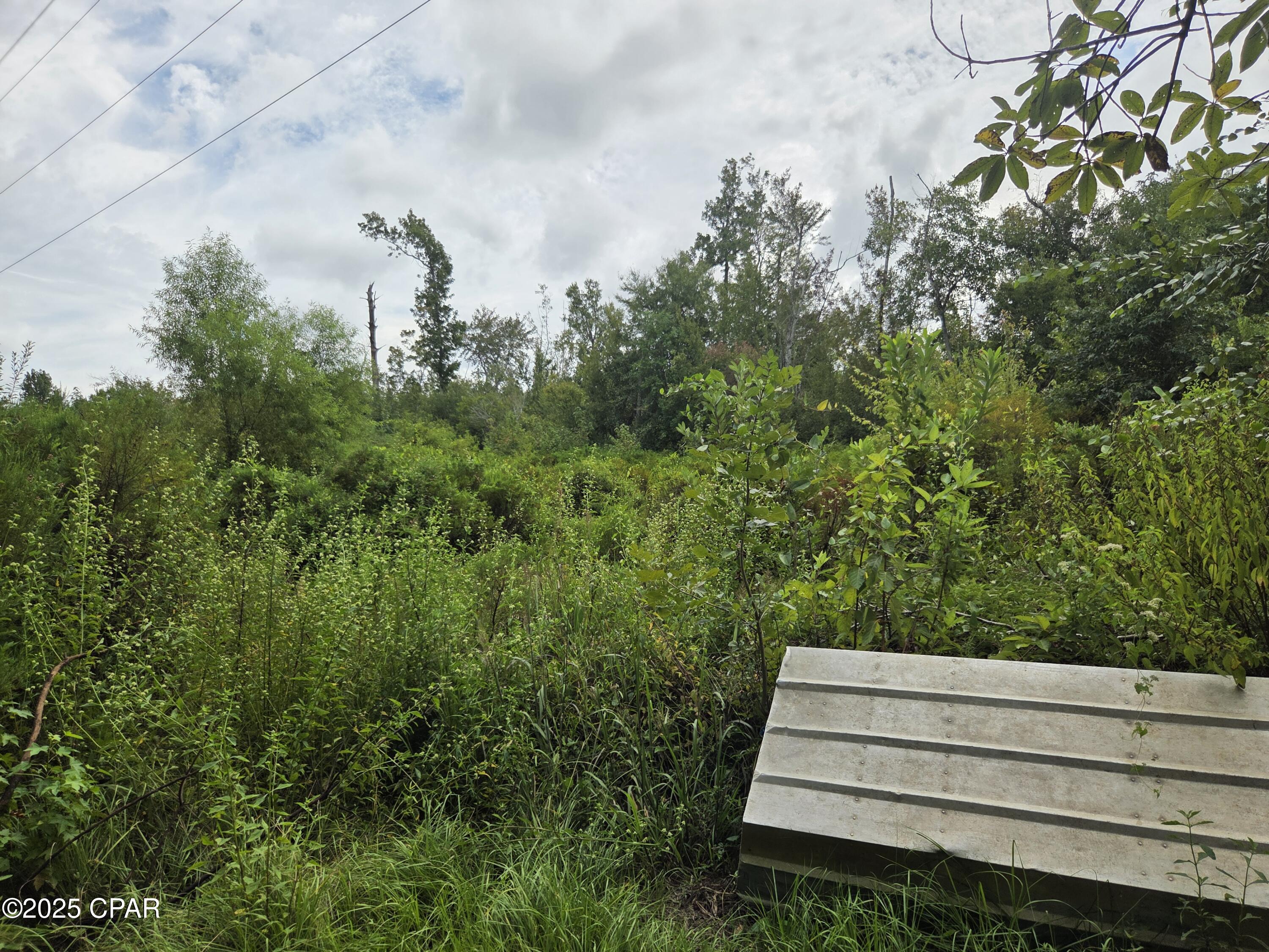 Listing photo id 7 for 7215 Diane Lane