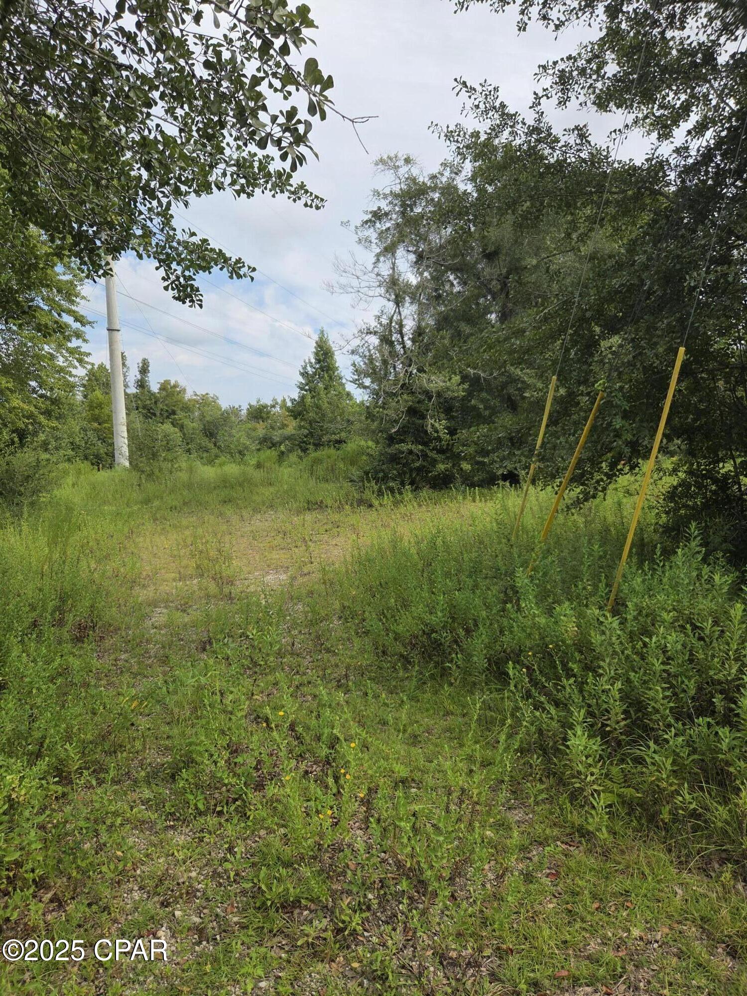 Listing photo id 8 for 7215 Diane Lane