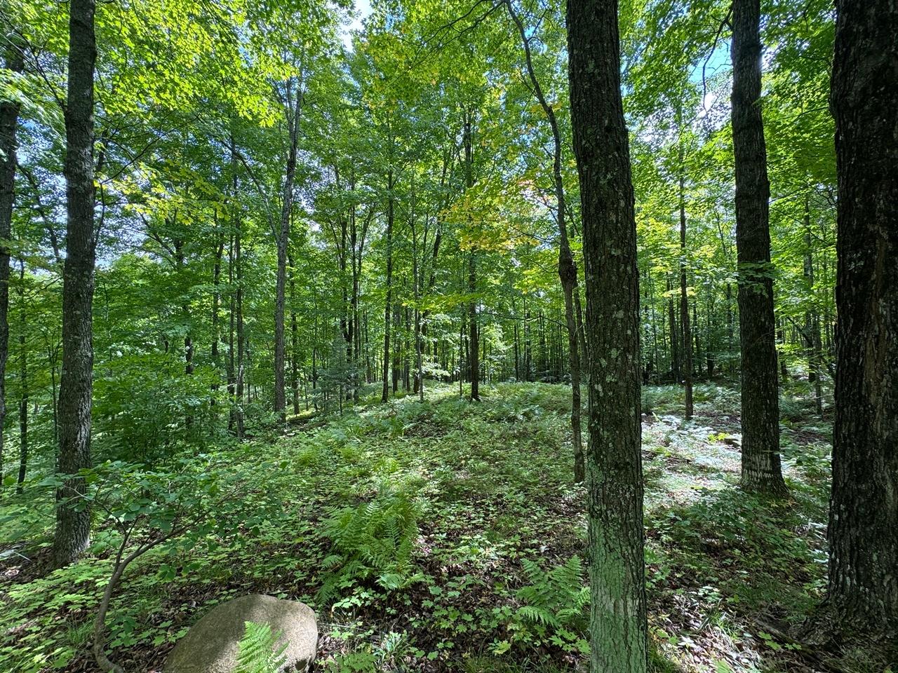 Undocumented Lake Property 1905N Flowage Rd Photo 35