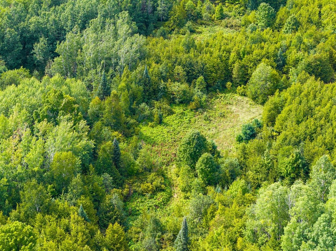 Undocumented Lake Property 1905N Flowage Rd Photo 52