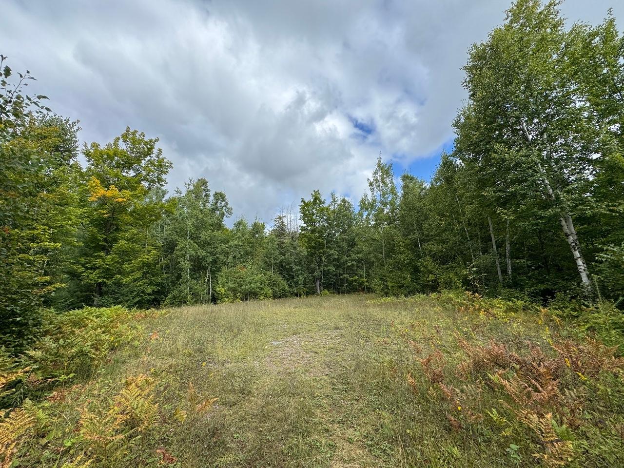 Undocumented Lake Property 1905N Flowage Rd Photo 55