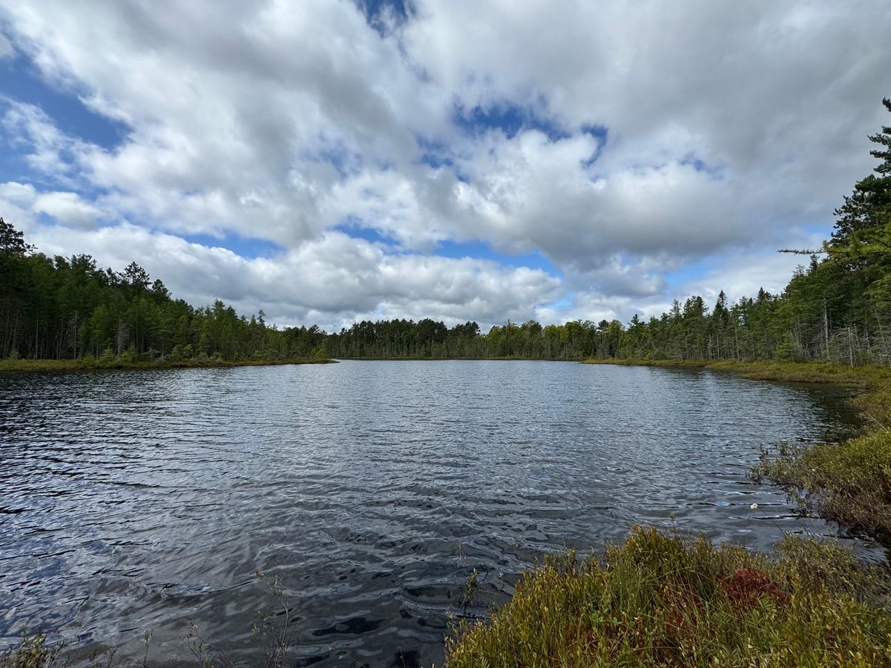 Undocumented Lake Property 1905N Flowage Rd Photo 59
