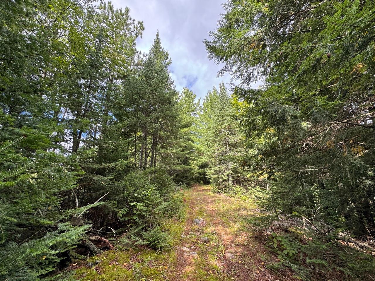 Undocumented Lake Property 1905N Flowage Rd Photo 60