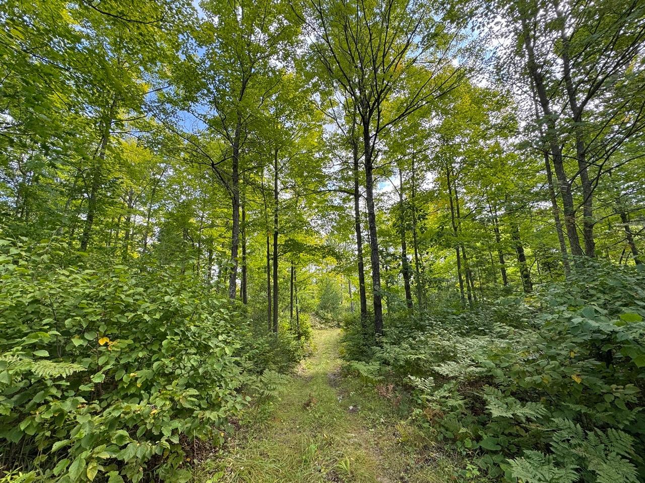 Undocumented Lake Property 1905N Flowage Rd Photo 63