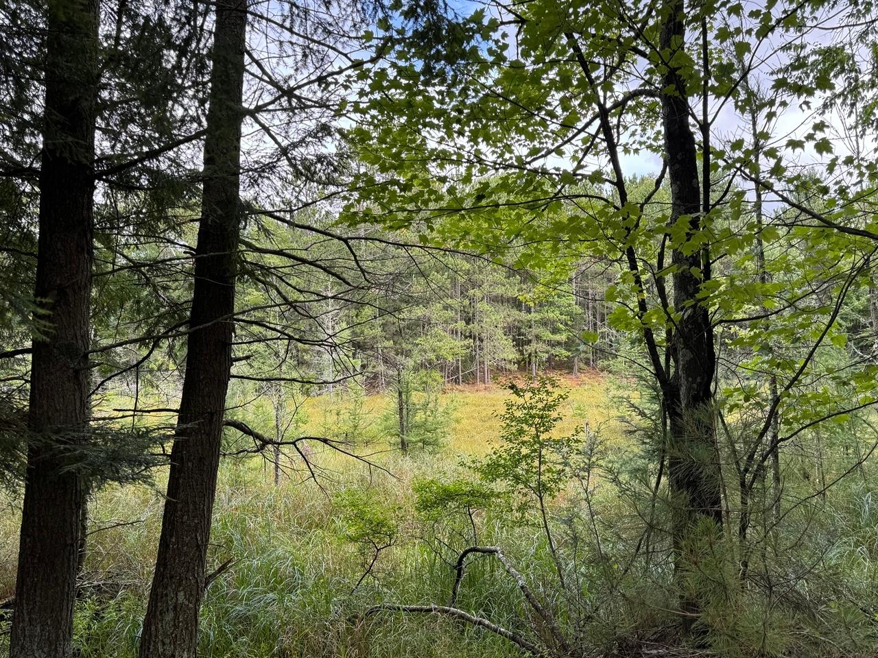 Undocumented Lake Property 1905N Flowage Rd Photo 66