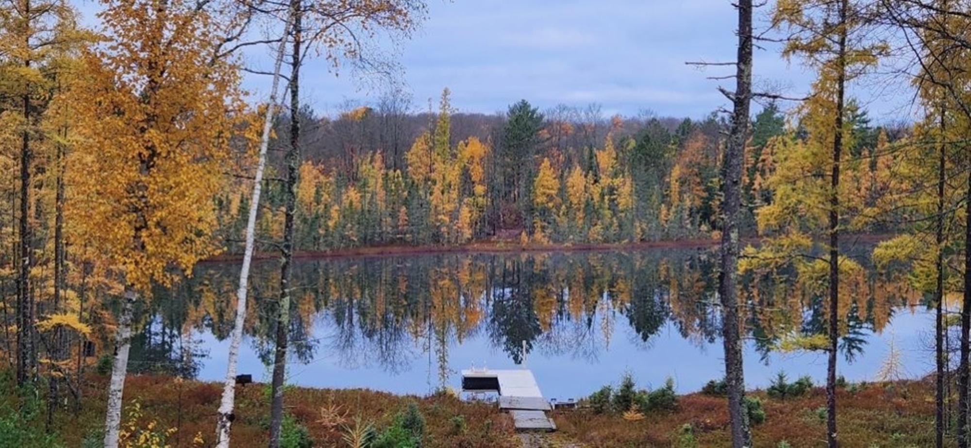 Undocumented Lake Property 1905N Flowage Rd Photo 80