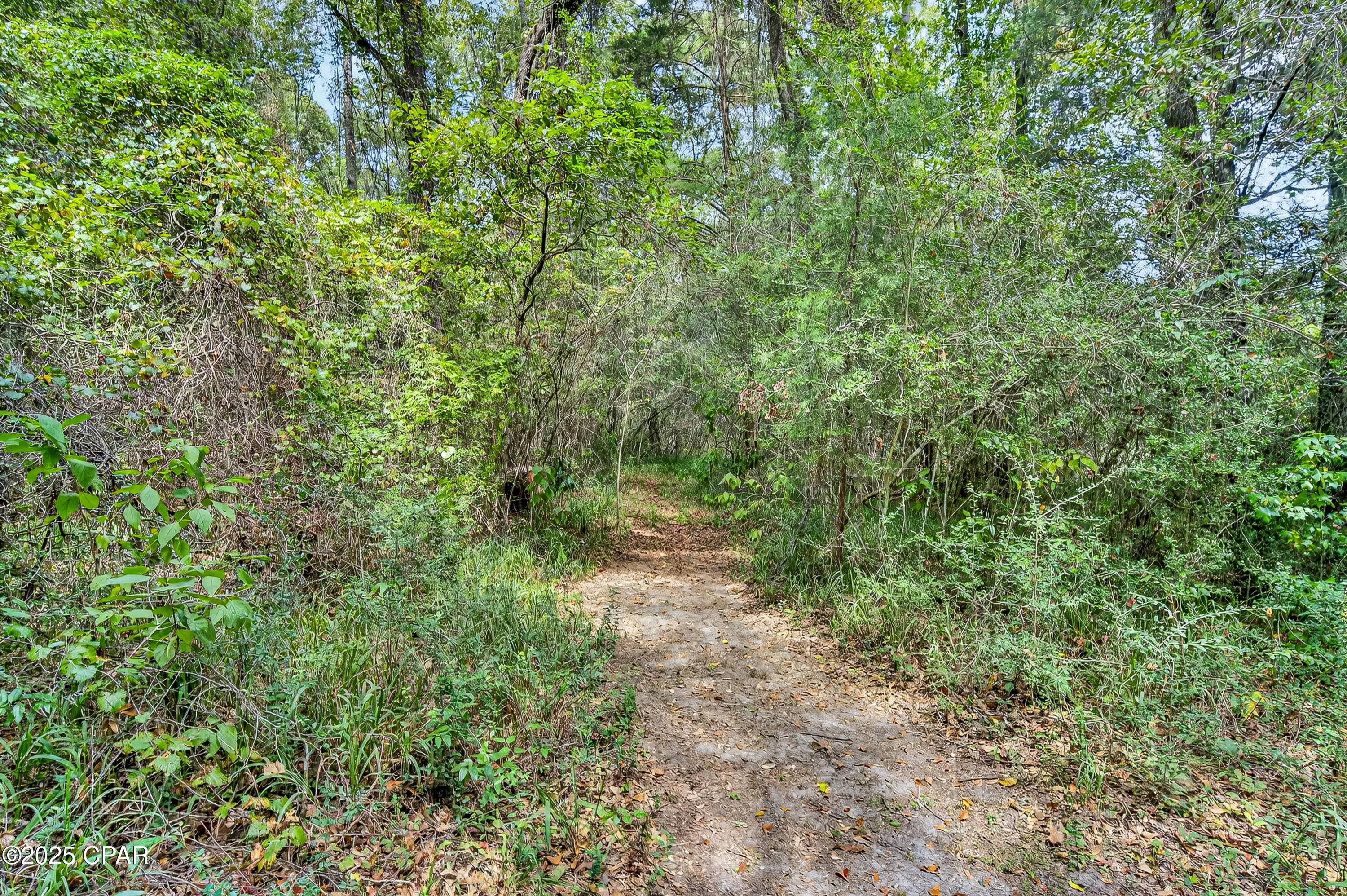 Listing photo id 51 for 1955 Highway 181