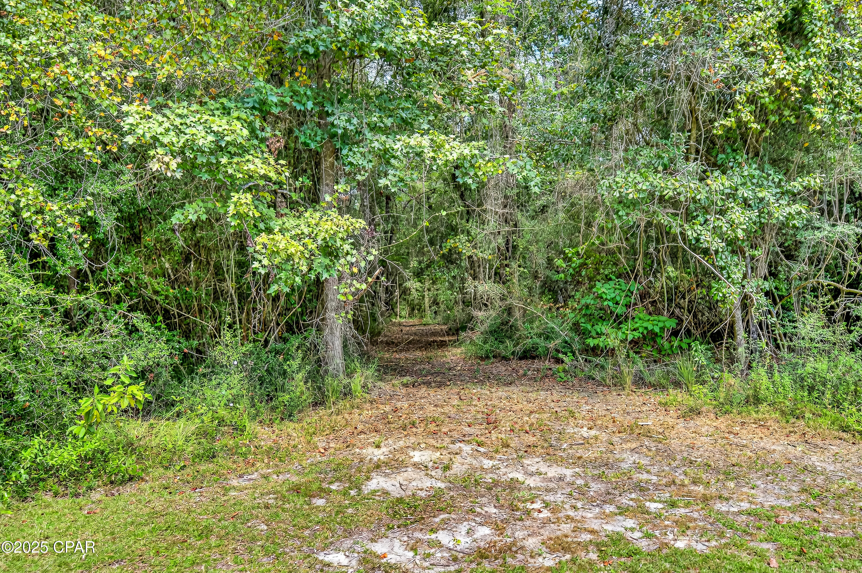 Listing photo id 53 for 1955 Highway 181