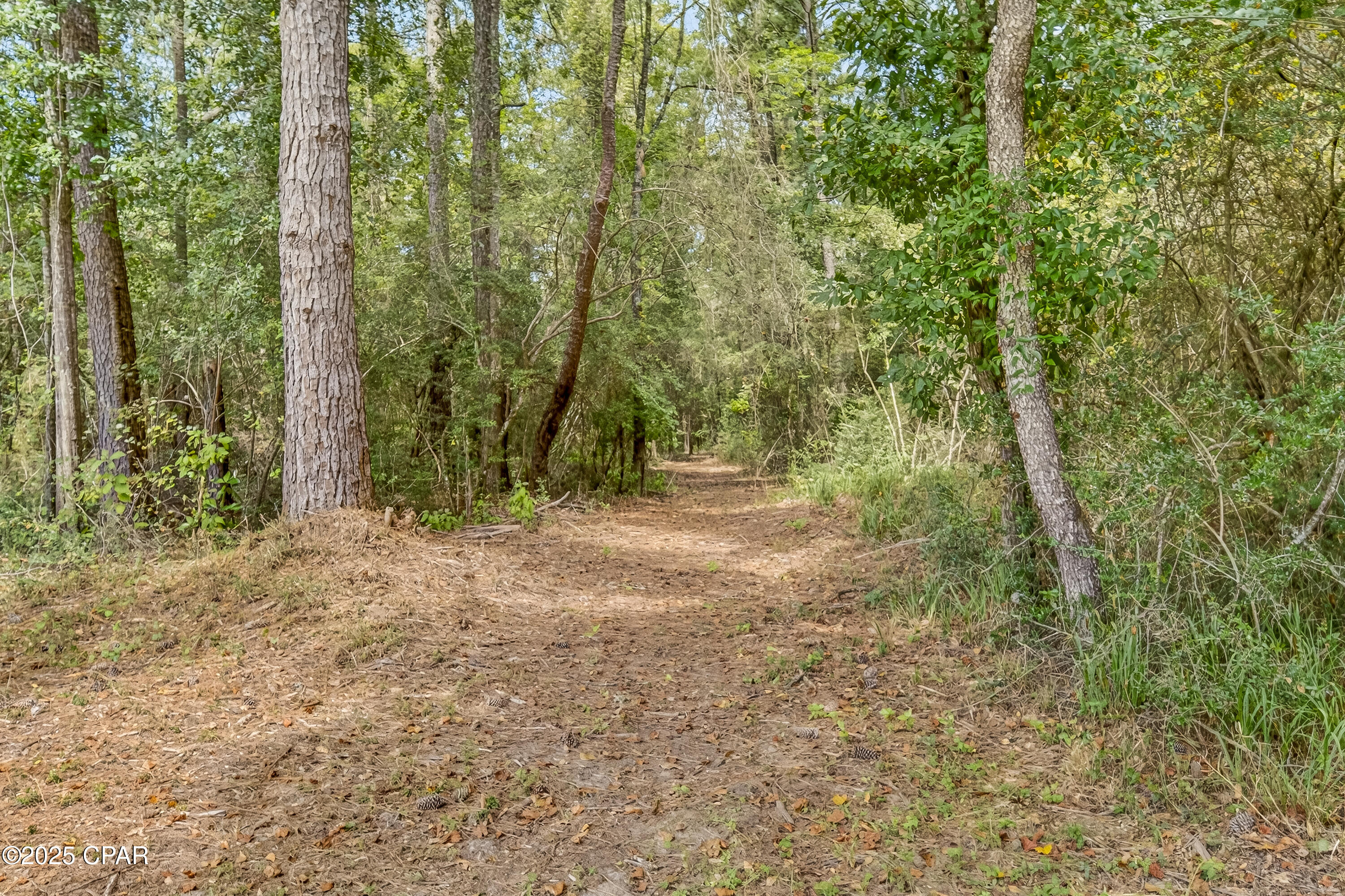 Image 55 For 1955 Highway 181