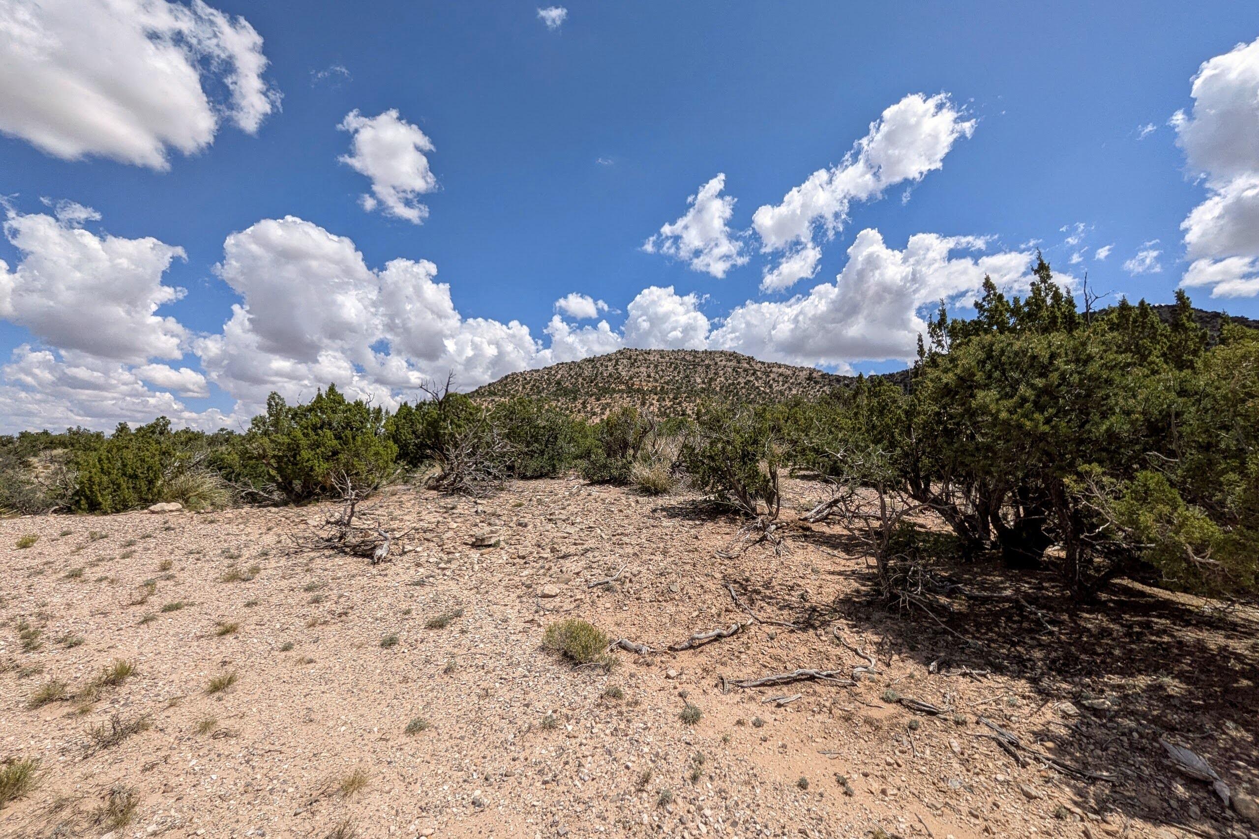 Homes for sale in Mountainair, NM | 10 San Miguel Trl, Mountainair, NM 87036 | MLS# 1091329