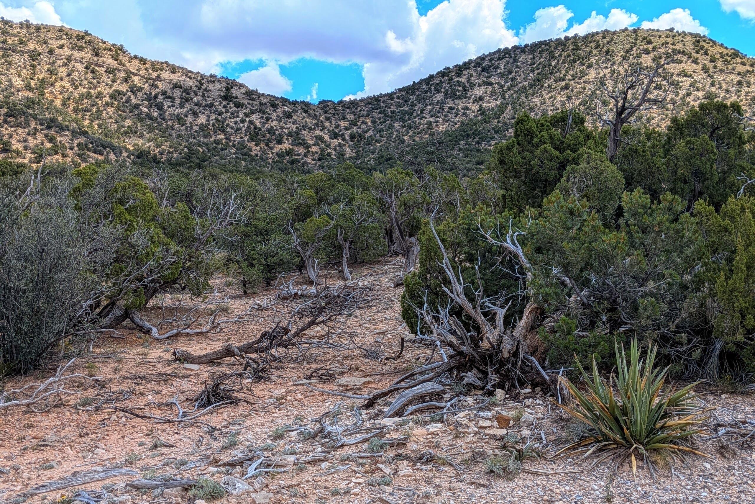 Homes for sale in Mountainair, NM | 10 San Miguel Trl, Mountainair, NM 87036 | MLS# 1091329