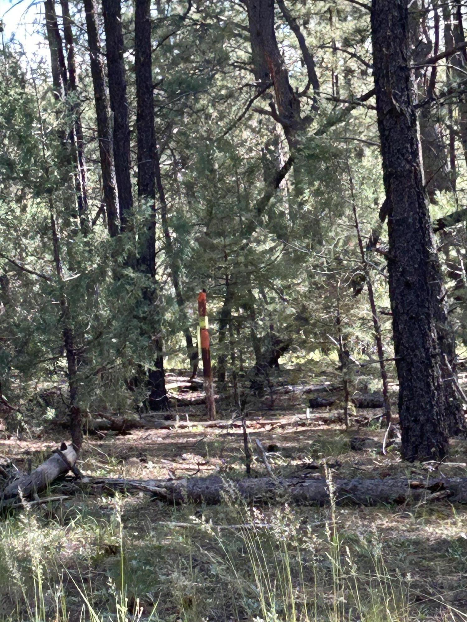 Homes for sale in Pecos, NM | 23 Acre Lot, Pecos, NM 87552 | MLS# 1091332